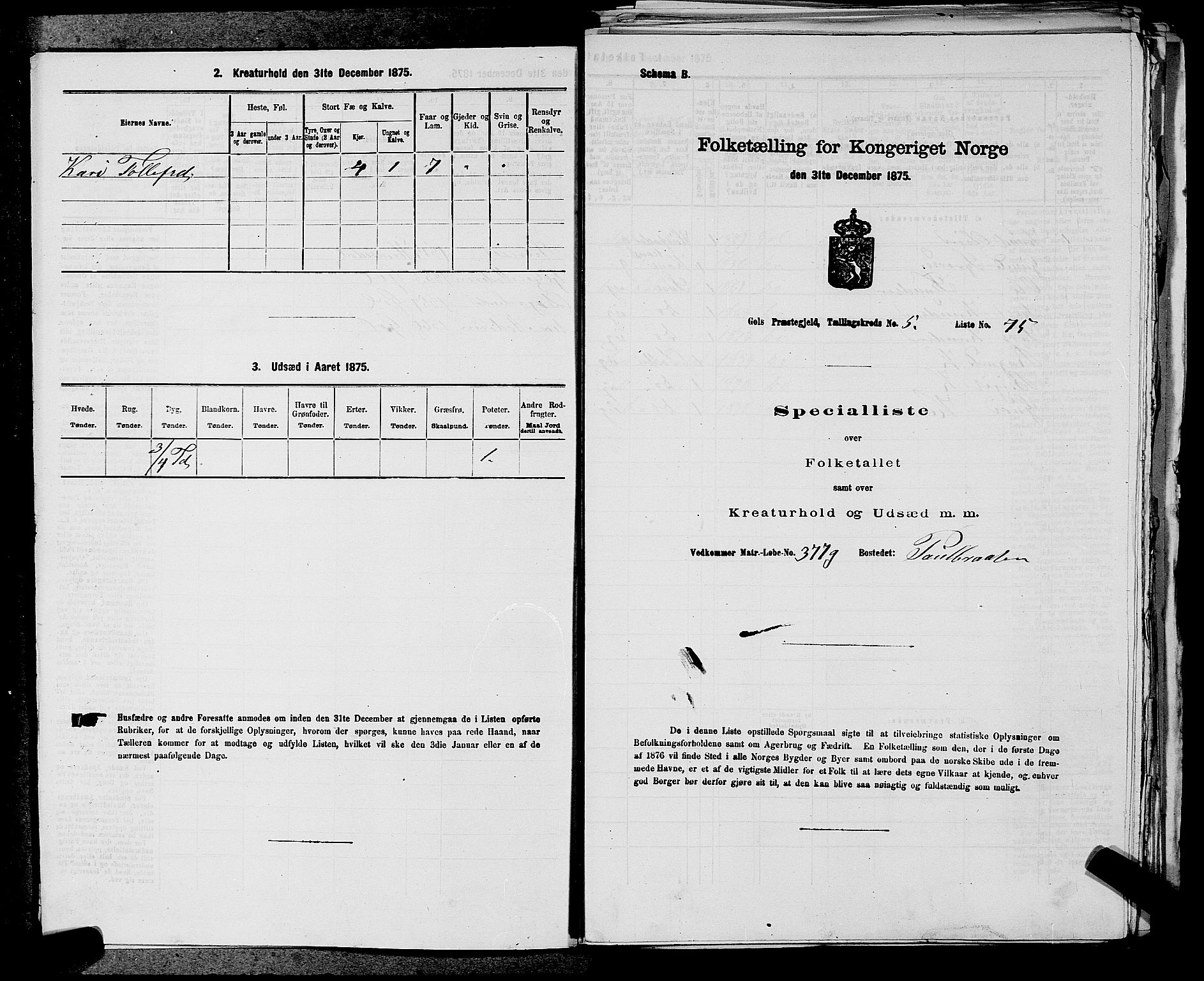 SAKO, 1875 census for 0617P Gol, 1875, p. 728
