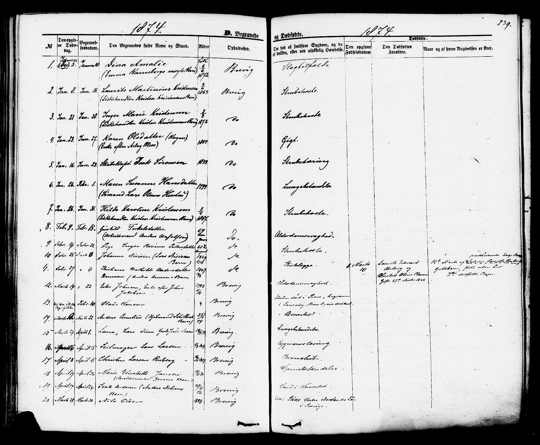 Brevik kirkebøker, SAKO/A-255/F/Fa/L0006: Parish register (official) no. 6, 1866-1881, p. 239