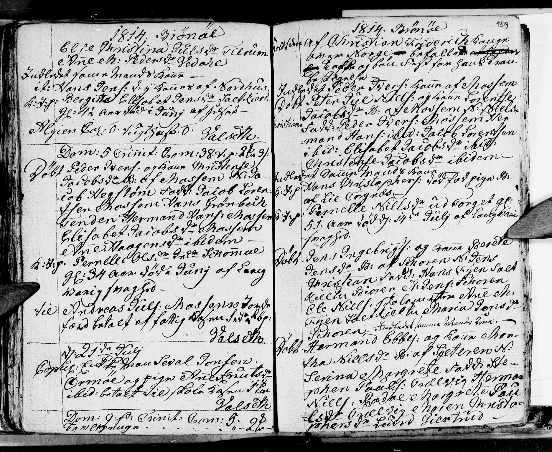 Ministerialprotokoller, klokkerbøker og fødselsregistre - Nordland, SAT/A-1459/813/L0209: Parish register (copy) no. 813C01, 1803-1821, p. 159