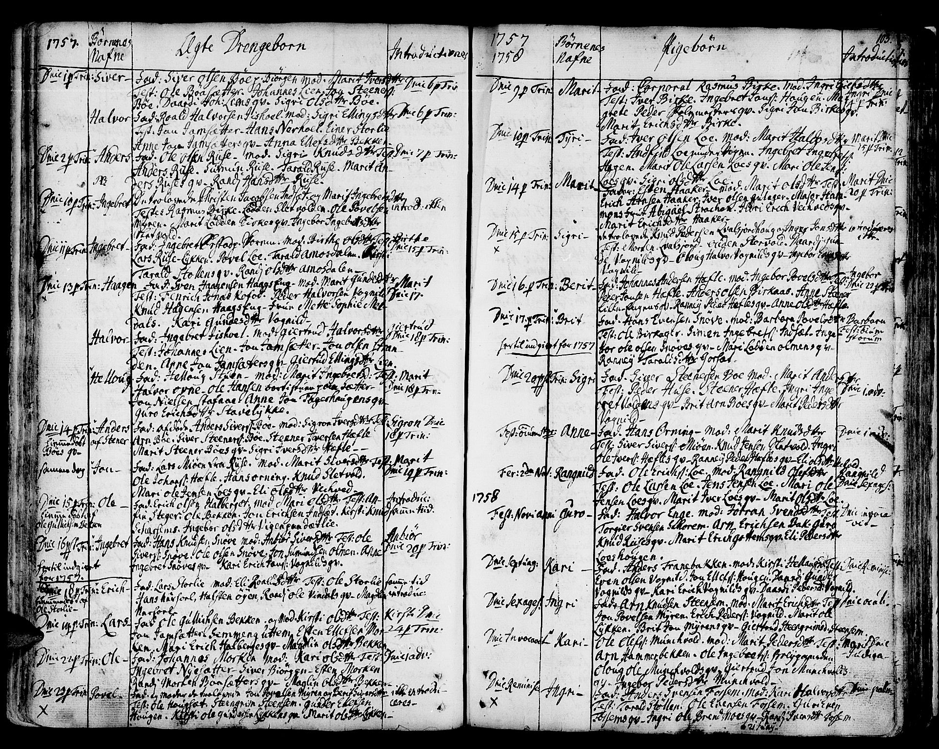 Ministerialprotokoller, klokkerbøker og fødselsregistre - Sør-Trøndelag, SAT/A-1456/678/L0891: Parish register (official) no. 678A01, 1739-1780, p. 103