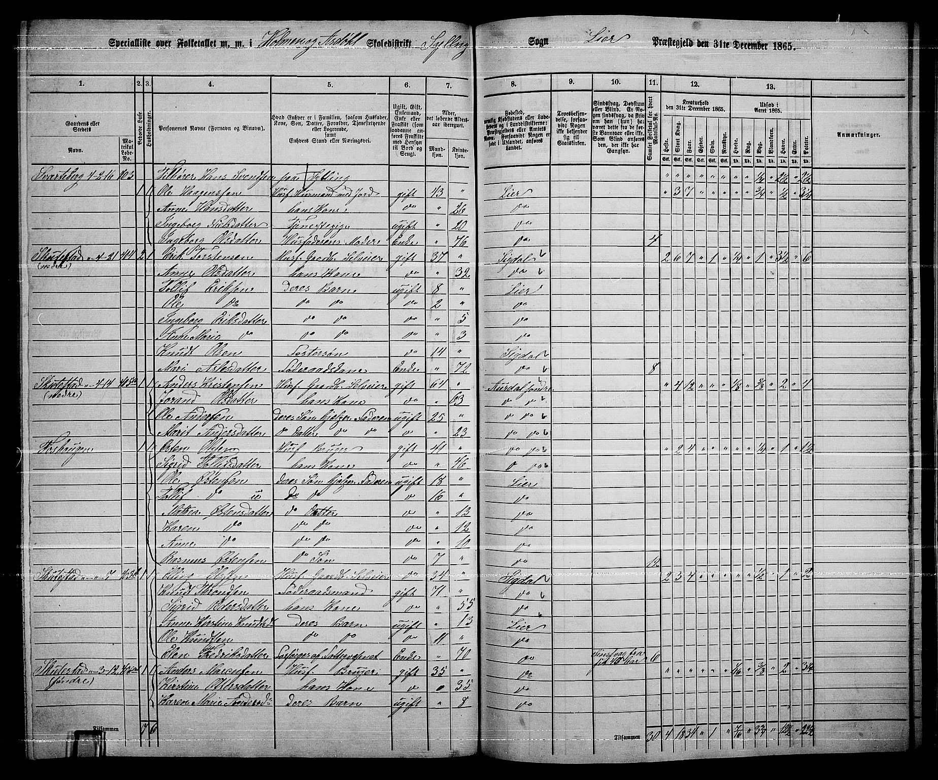 RA, 1865 census for Lier, 1865, p. 232
