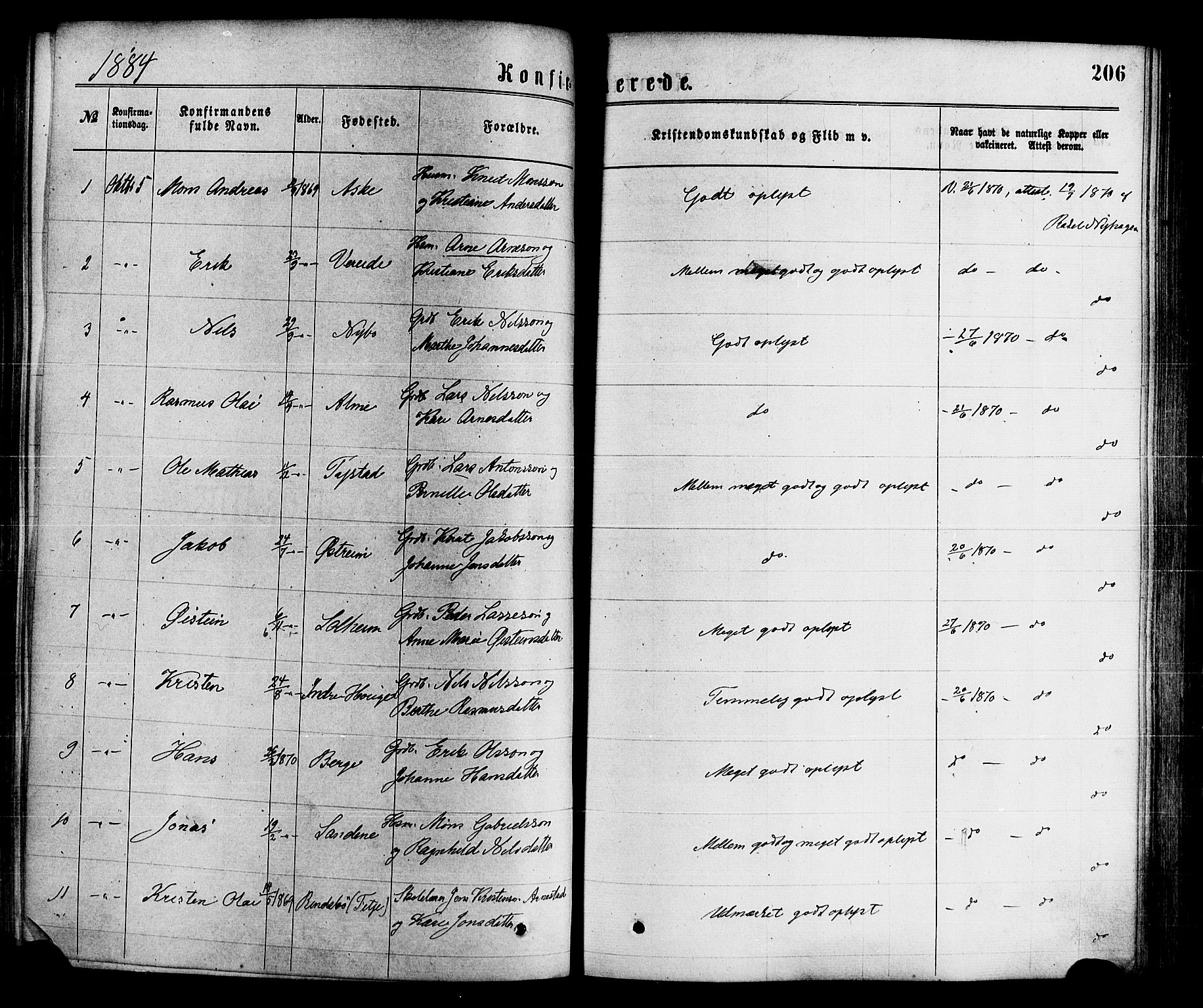 Gloppen sokneprestembete, SAB/A-80101/H/Haa/Haaa/L0010: Parish register (official) no. A 10, 1871-1884, p. 206