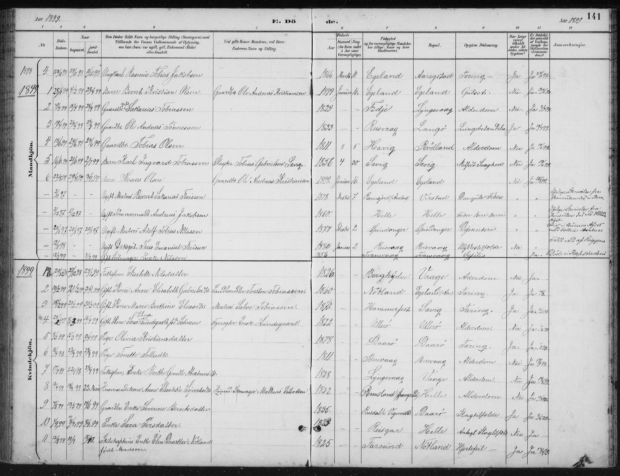 Herad sokneprestkontor, SAK/1111-0018/F/Fb/Fbb/L0004: Parish register (copy) no. B 4, 1890-1935, p. 141