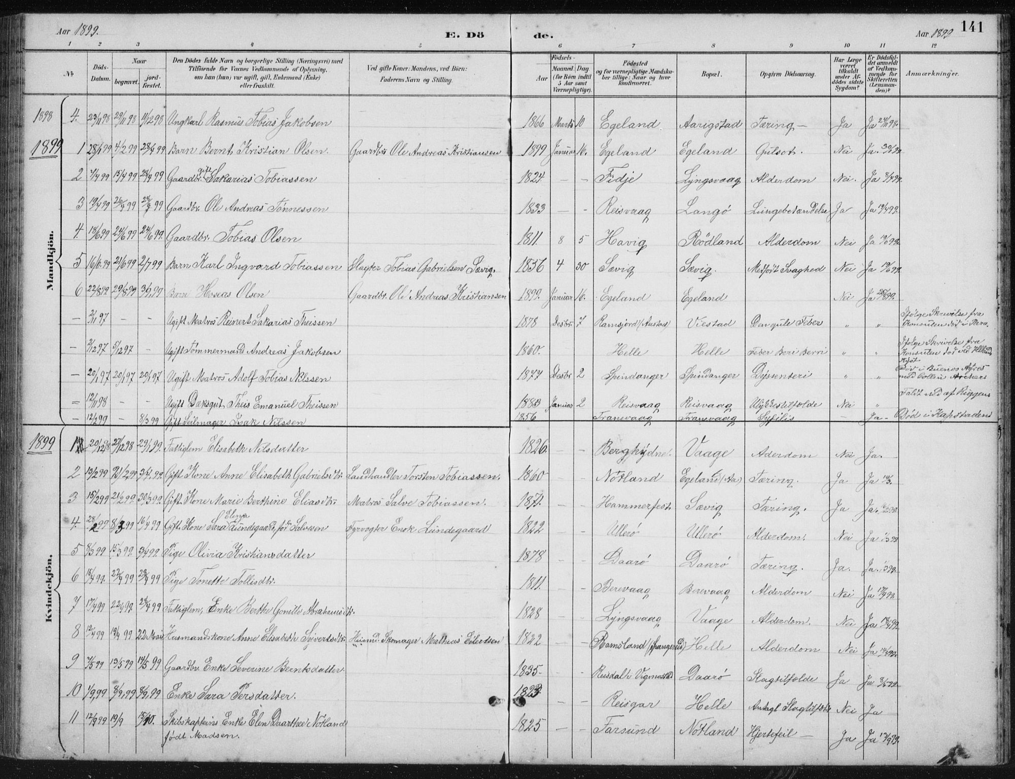 Herad sokneprestkontor, AV/SAK-1111-0018/F/Fb/Fbb/L0004: Parish register (copy) no. B 4, 1890-1935, p. 141