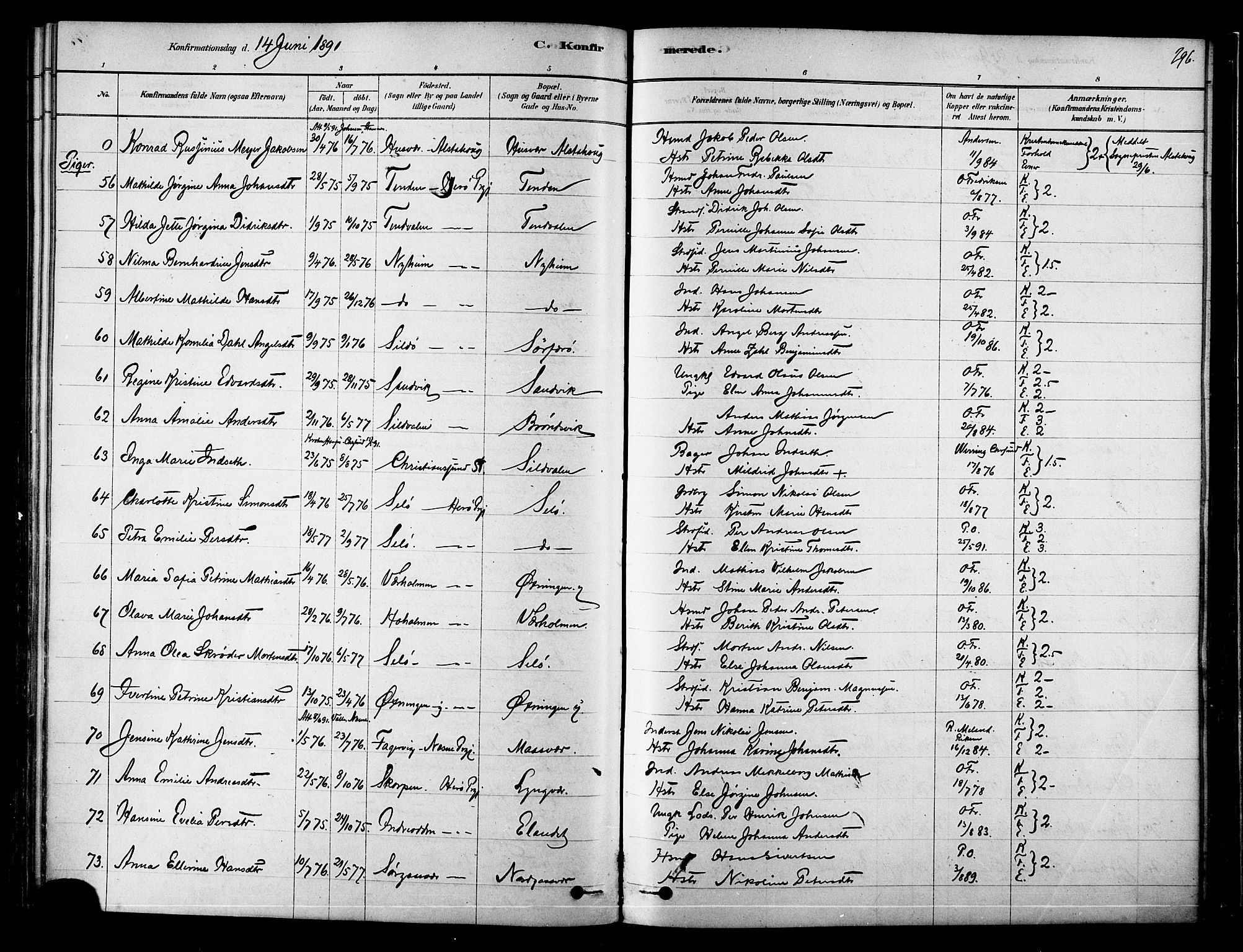 Ministerialprotokoller, klokkerbøker og fødselsregistre - Nordland, AV/SAT-A-1459/834/L0507: Parish register (official) no. 834A05, 1878-1892, p. 296