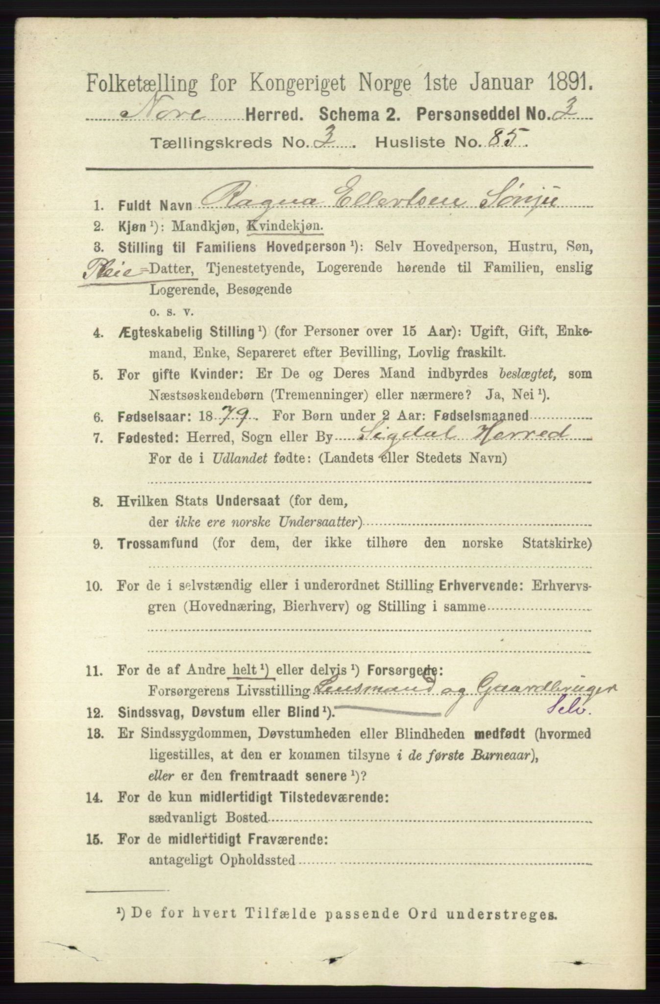 RA, 1891 census for 0633 Nore, 1891, p. 1210