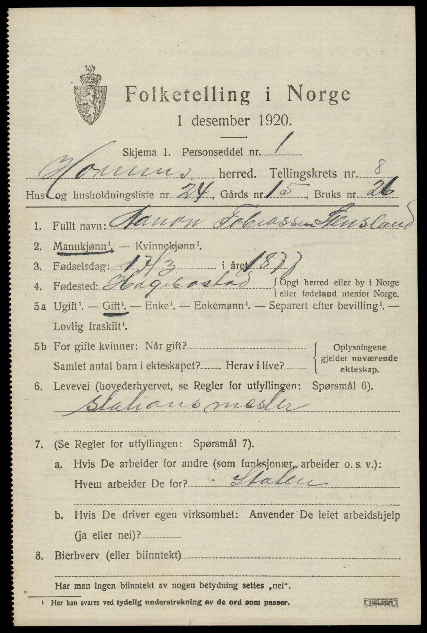 SAK, 1920 census for Hornnes, 1920, p. 2165