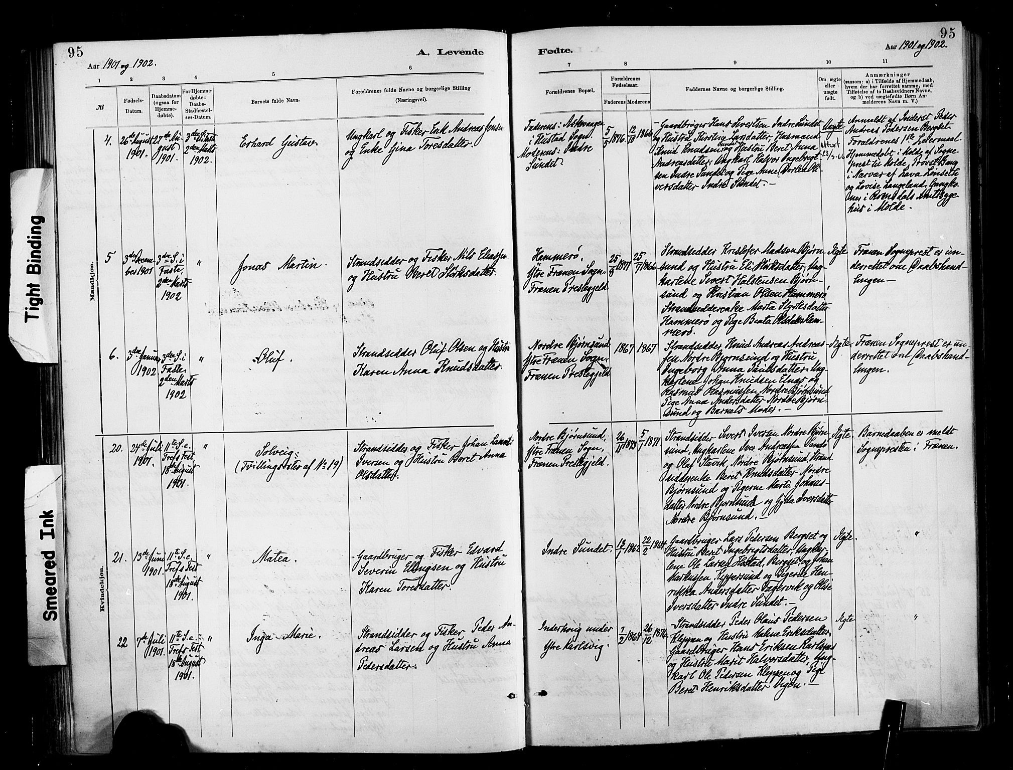 Ministerialprotokoller, klokkerbøker og fødselsregistre - Møre og Romsdal, AV/SAT-A-1454/566/L0769: Parish register (official) no. 566A08, 1881-1903, p. 95