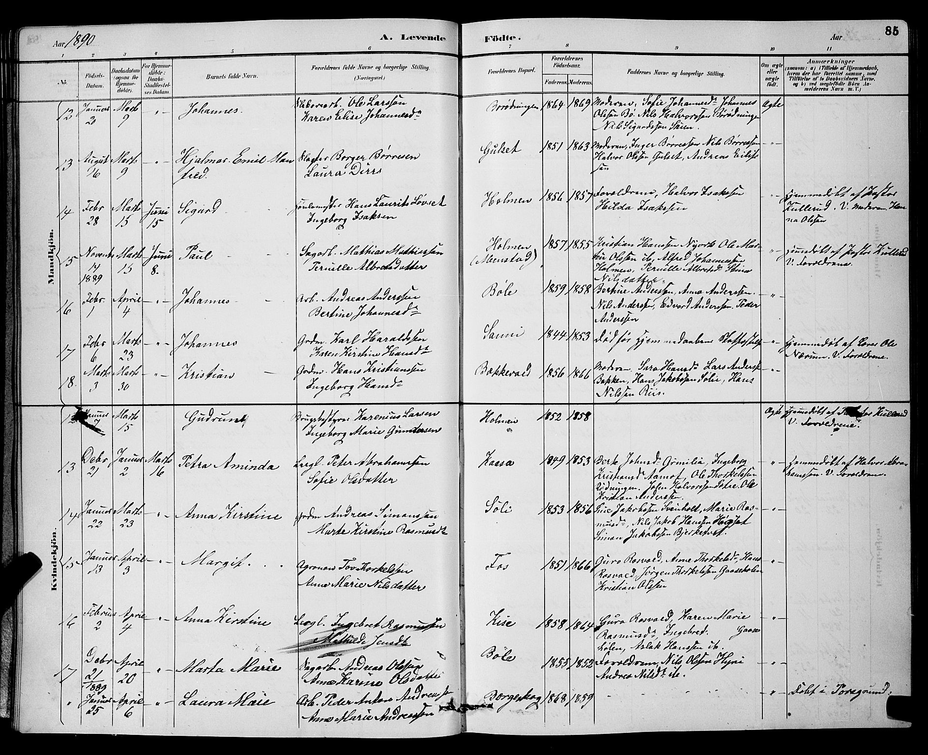 Gjerpen kirkebøker, AV/SAKO-A-265/G/Ga/L0002: Parish register (copy) no. I 2, 1883-1900, p. 85