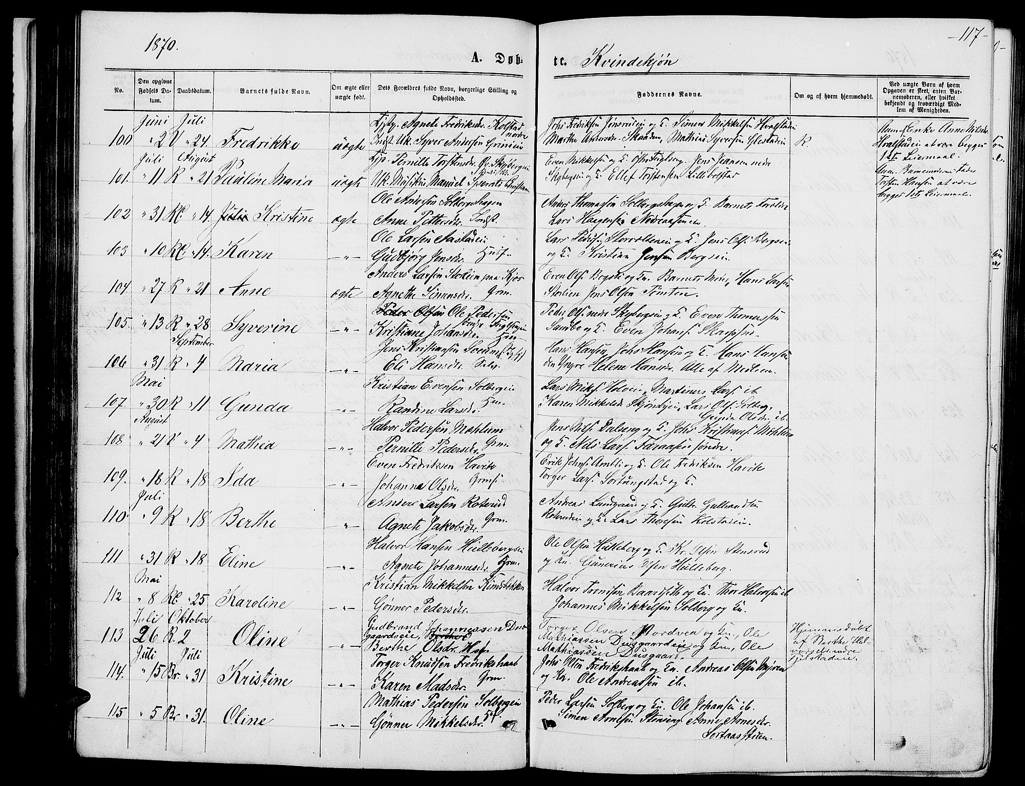 Ringsaker prestekontor, AV/SAH-PREST-014/L/La/L0008: Parish register (copy) no. 8, 1870-1878, p. 117