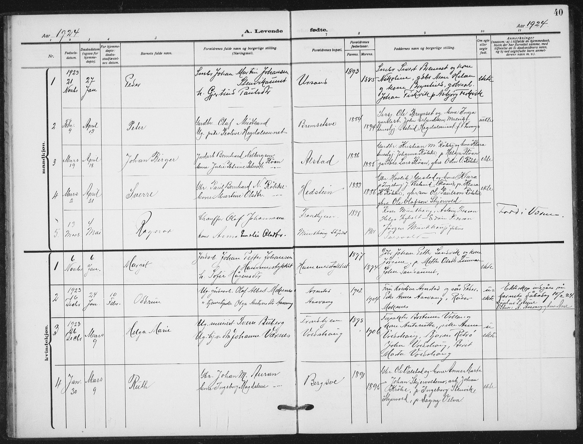 Ministerialprotokoller, klokkerbøker og fødselsregistre - Nord-Trøndelag, AV/SAT-A-1458/712/L0102: Parish register (official) no. 712A03, 1916-1929, p. 40