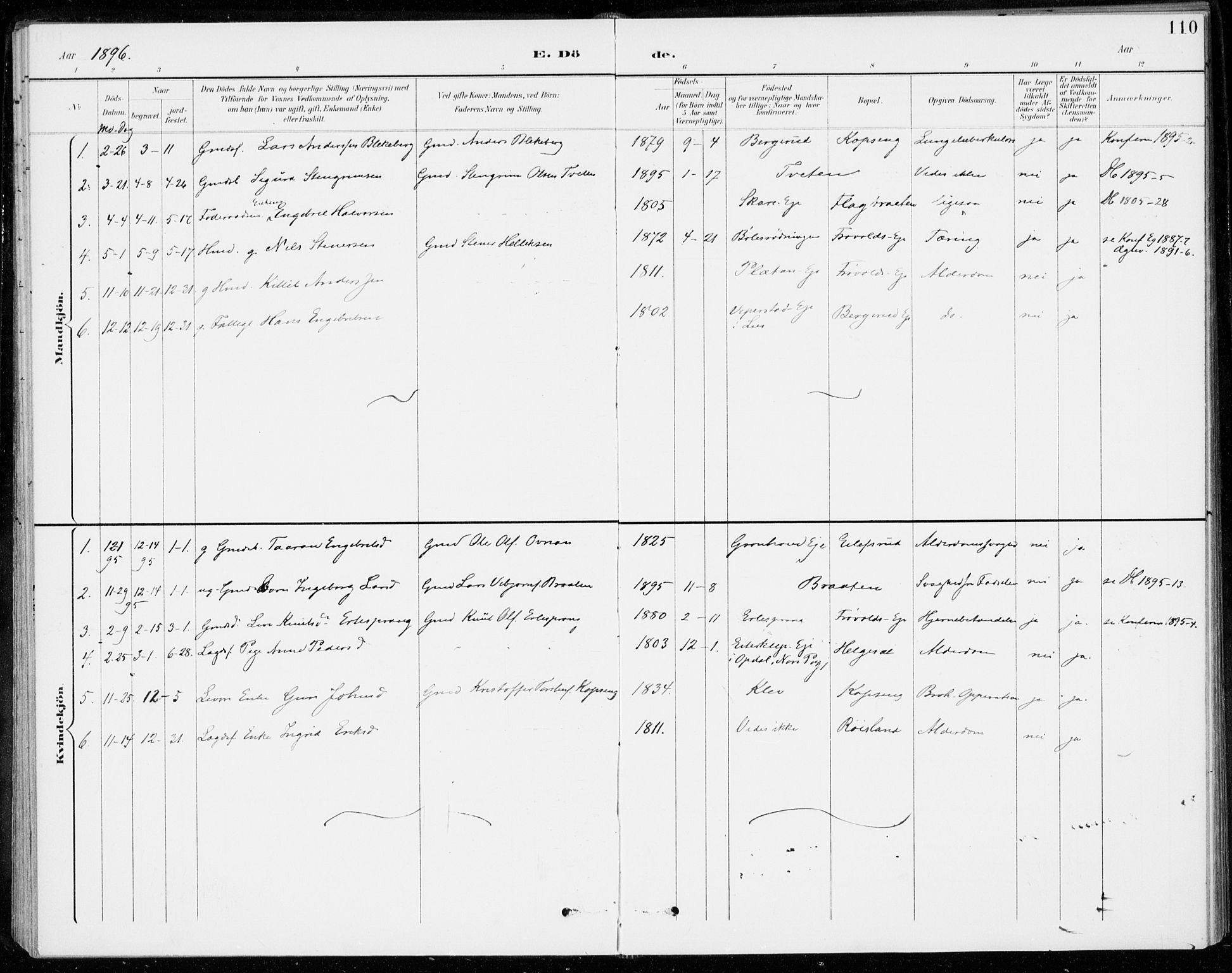 Sigdal kirkebøker, SAKO/A-245/F/Fc/L0002: Parish register (official) no. III 2, 1894-1911, p. 110