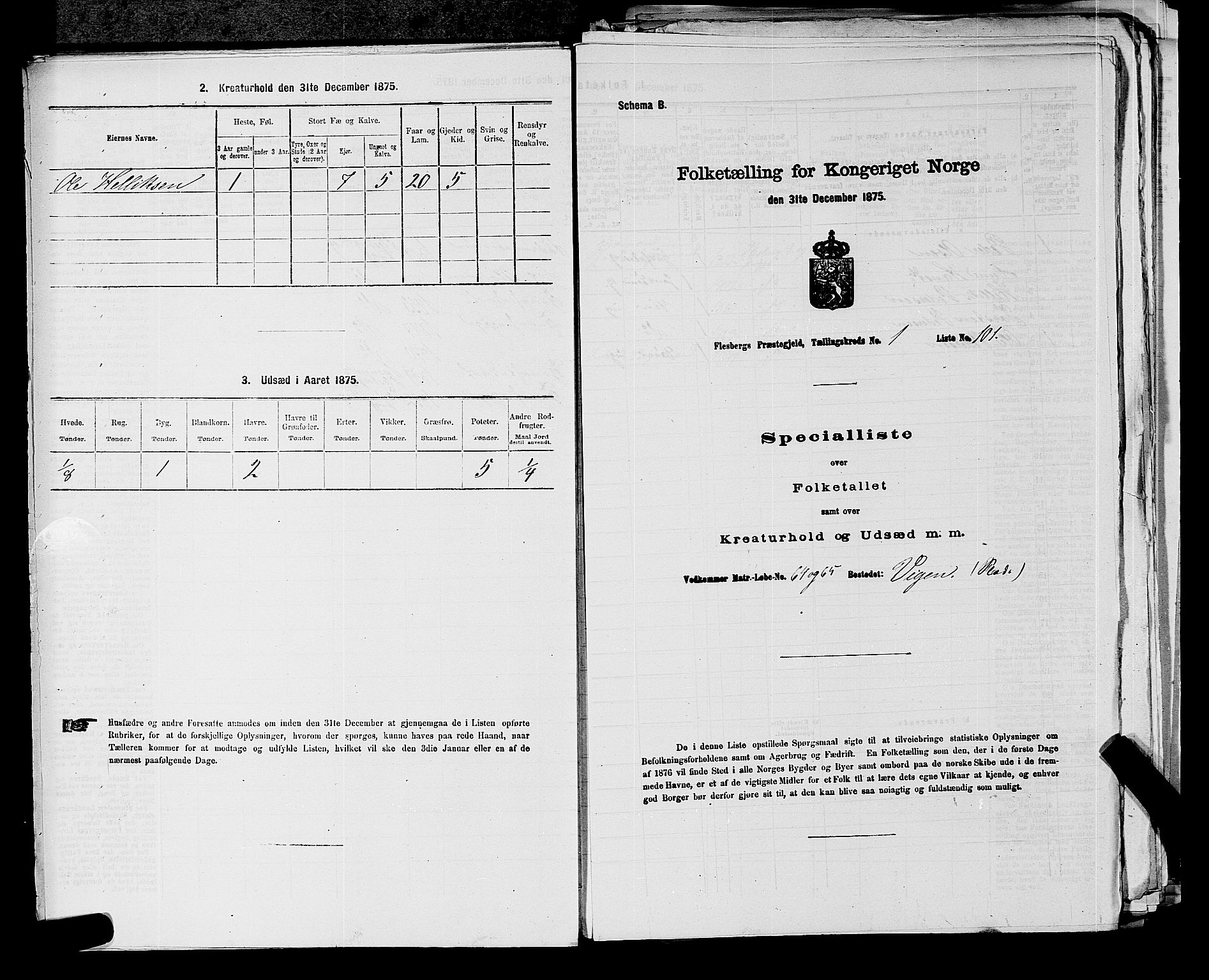 SAKO, 1875 census for 0631P Flesberg, 1875, p. 260