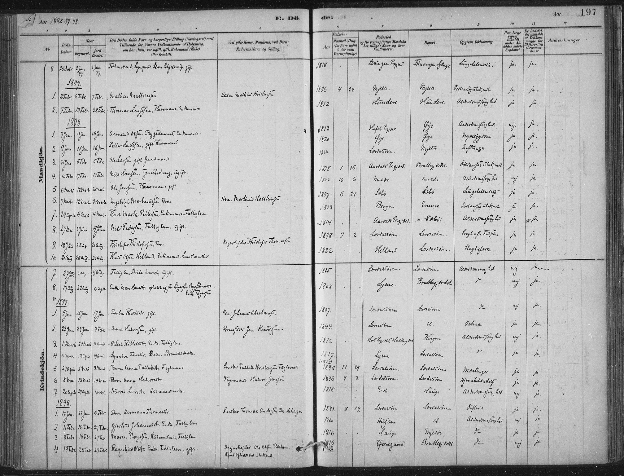 Lærdal sokneprestembete, SAB/A-81201: Parish register (official) no. D  1, 1878-1908, p. 197