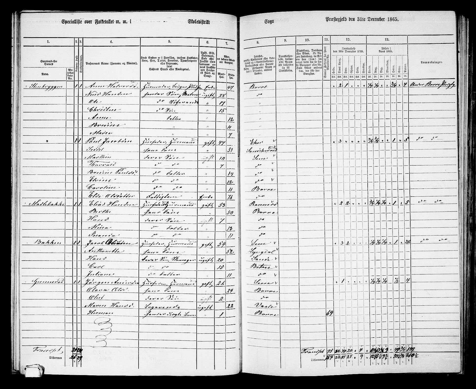 RA, 1865 census for Borre, 1865, p. 68