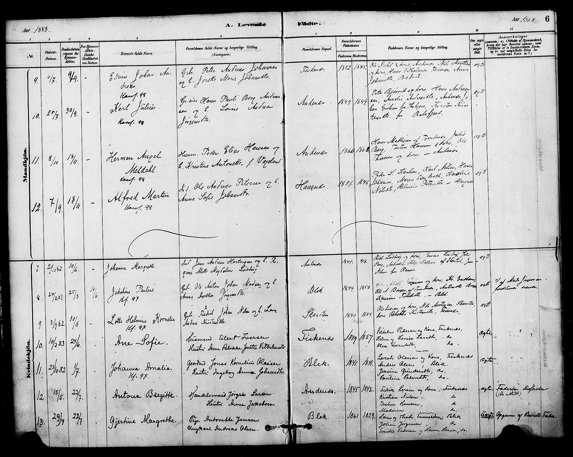 Ministerialprotokoller, klokkerbøker og fødselsregistre - Nordland, AV/SAT-A-1459/899/L1436: Parish register (official) no. 899A04, 1881-1896, p. 6