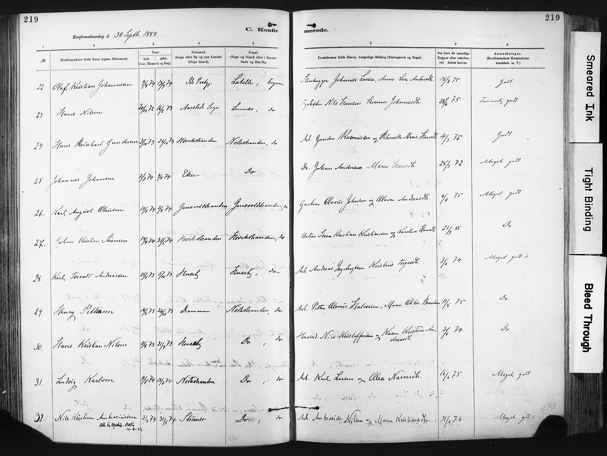 Lier kirkebøker, AV/SAKO-A-230/F/Fa/L0015: Parish register (official) no. I 15, 1883-1894, p. 219