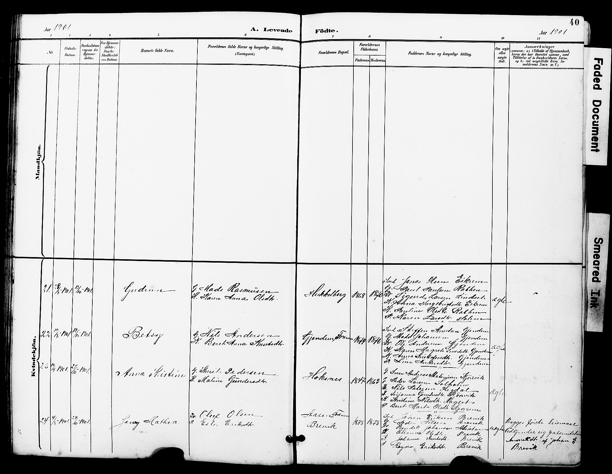 Ministerialprotokoller, klokkerbøker og fødselsregistre - Møre og Romsdal, AV/SAT-A-1454/560/L0725: Parish register (copy) no. 560C02, 1895-1930, p. 40