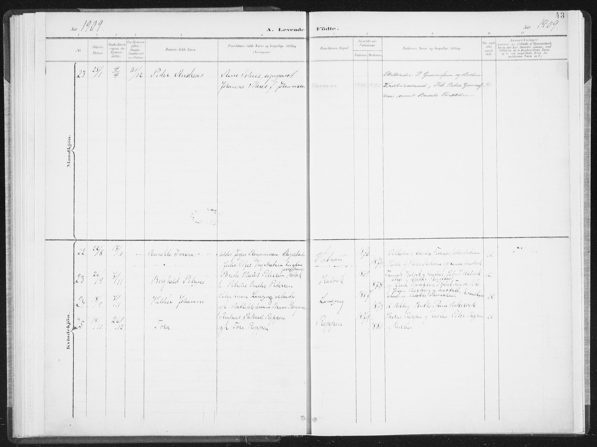 Ministerialprotokoller, klokkerbøker og fødselsregistre - Nordland, AV/SAT-A-1459/810/L0153: Parish register (official) no. 810A12, 1899-1914, p. 43