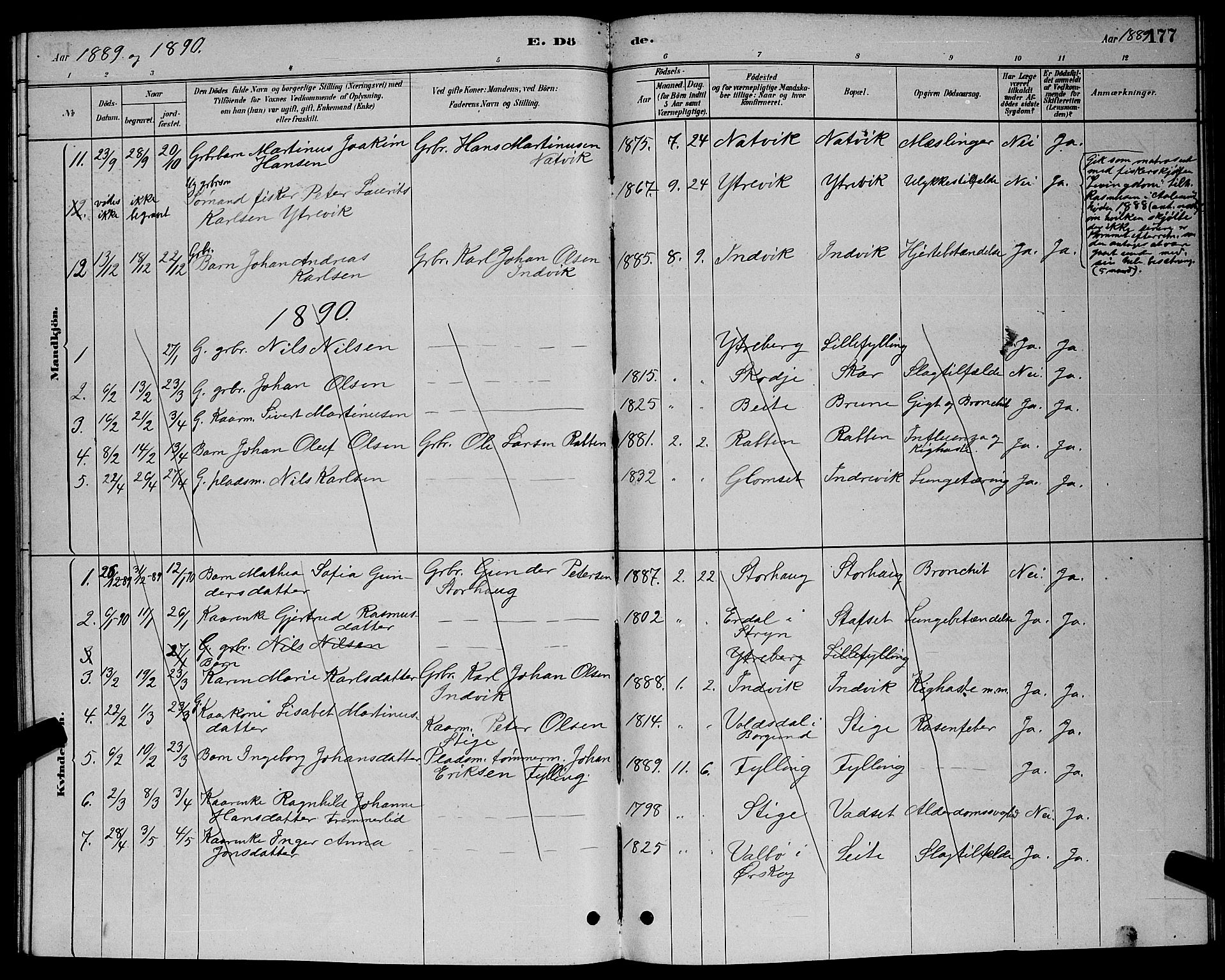 Ministerialprotokoller, klokkerbøker og fødselsregistre - Møre og Romsdal, AV/SAT-A-1454/524/L0365: Parish register (copy) no. 524C06, 1880-1899, p. 177