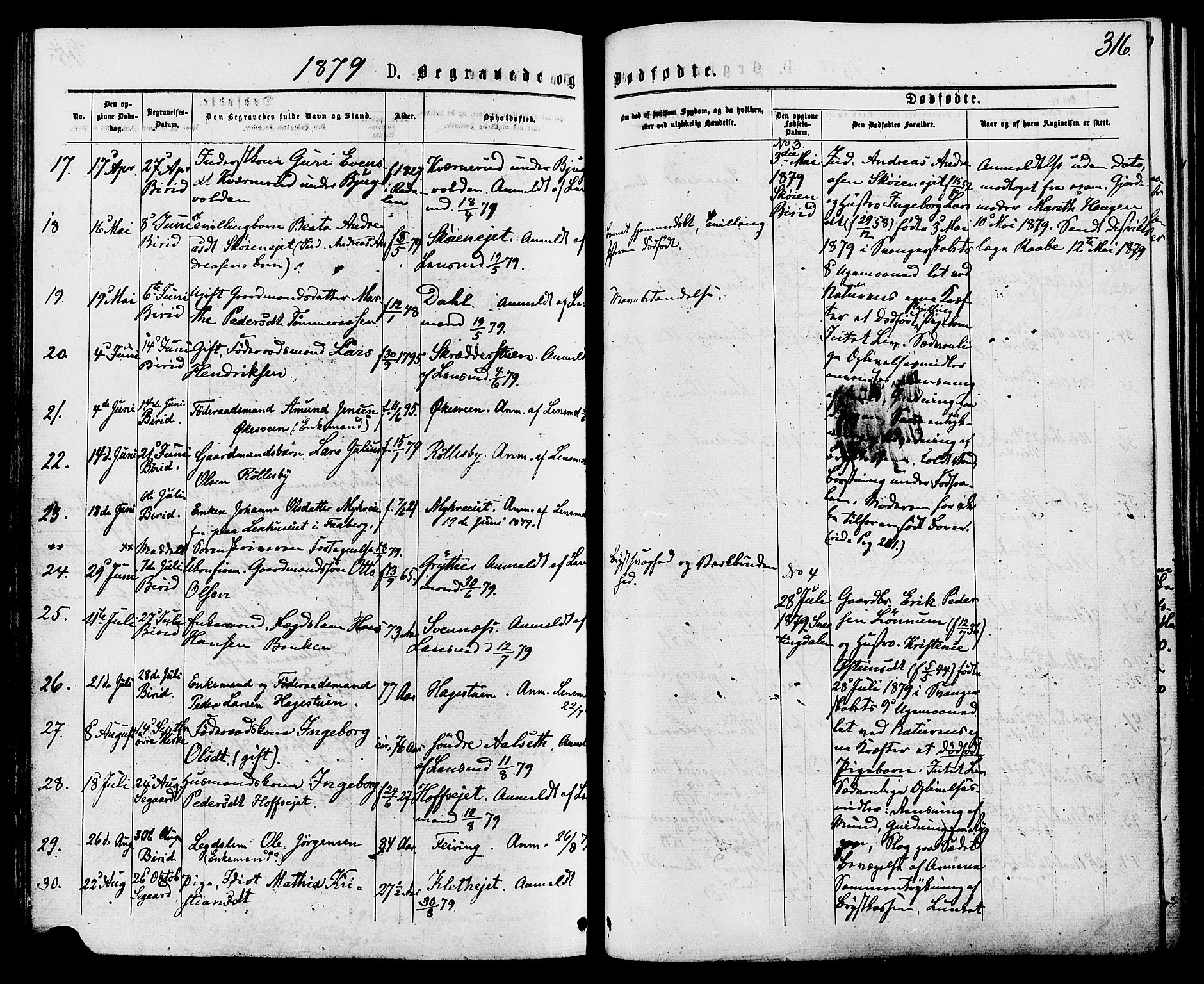 Biri prestekontor, AV/SAH-PREST-096/H/Ha/Haa/L0006: Parish register (official) no. 6, 1877-1886, p. 316