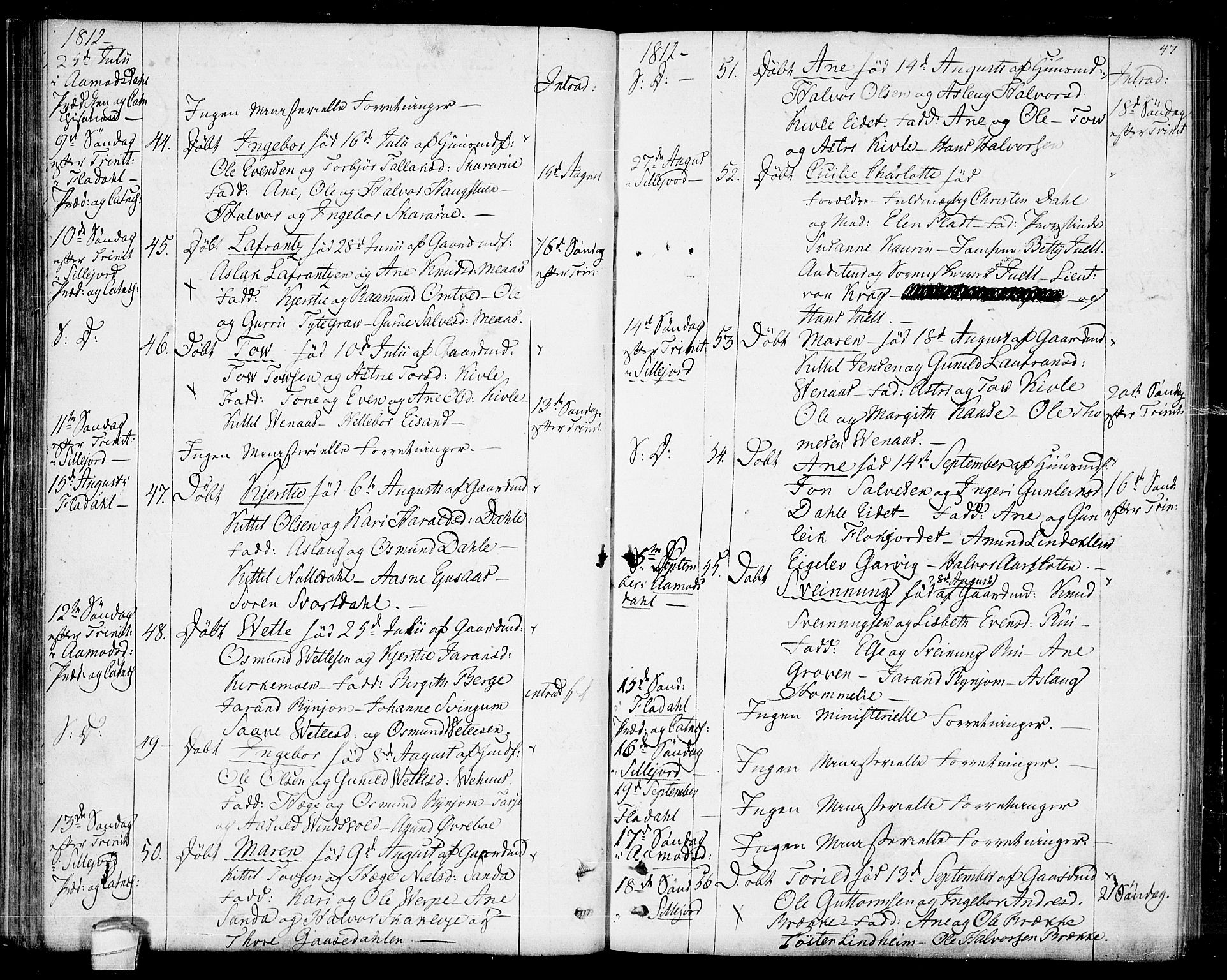 Seljord kirkebøker, SAKO/A-20/F/Fa/L0009: Parish register (official) no. I 9, 1801-1814, p. 47