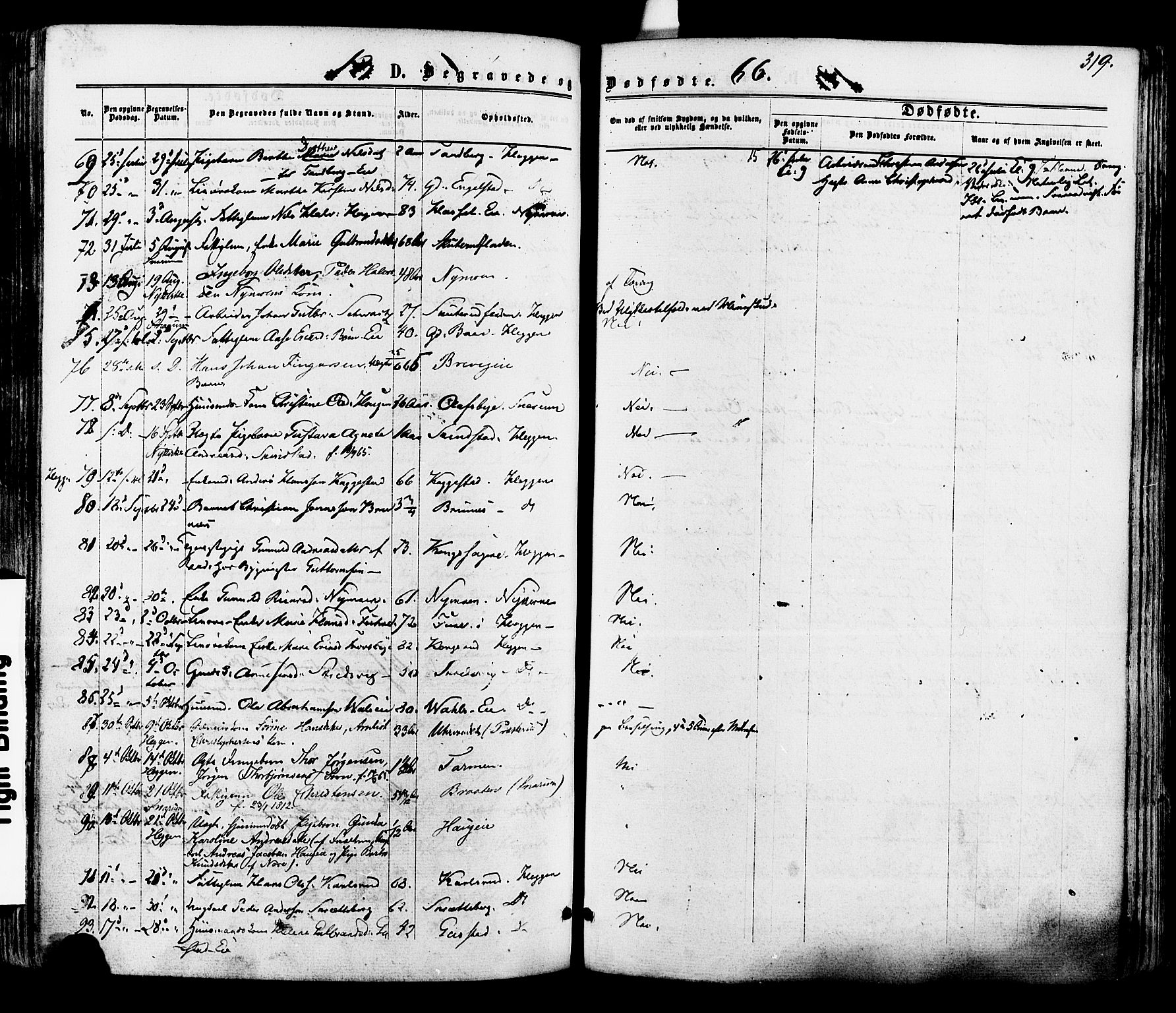 Modum kirkebøker, AV/SAKO-A-234/F/Fa/L0010: Parish register (official) no. 10, 1865-1876, p. 319