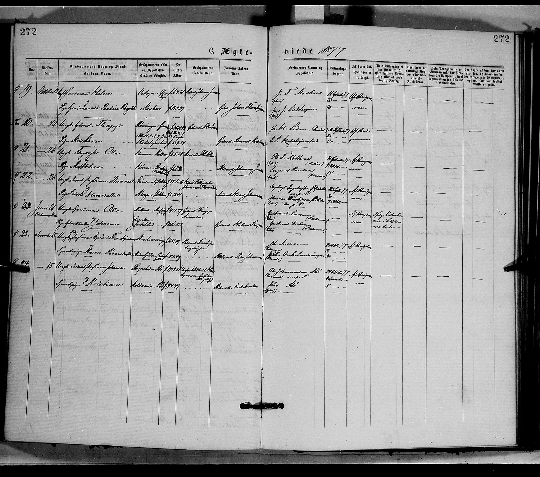 Øyer prestekontor, SAH/PREST-084/H/Ha/Haa/L0007: Parish register (official) no. 7, 1875-1878, p. 272