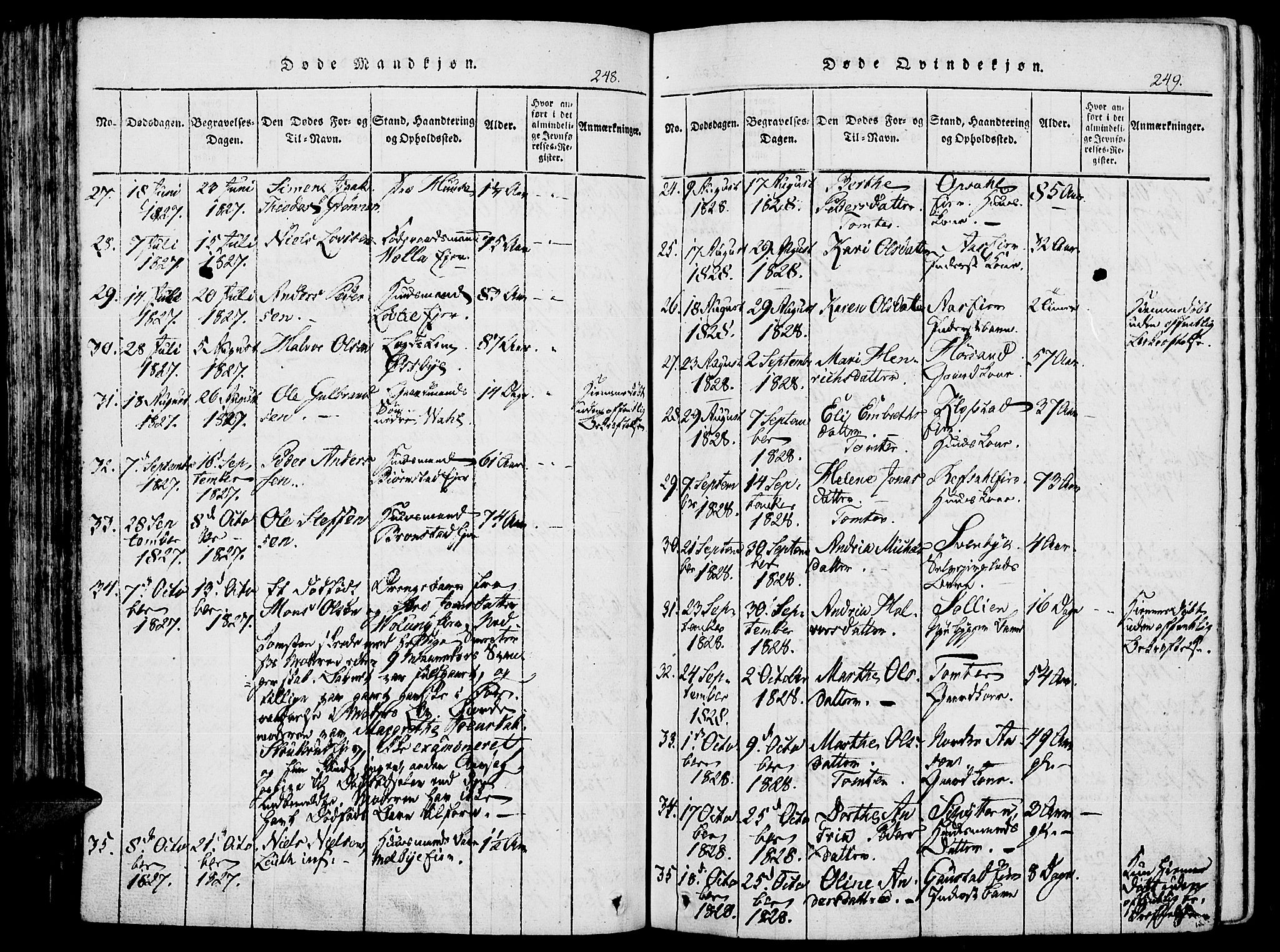 Romedal prestekontor, AV/SAH-PREST-004/K/L0002: Parish register (official) no. 2, 1814-1828, p. 248-249