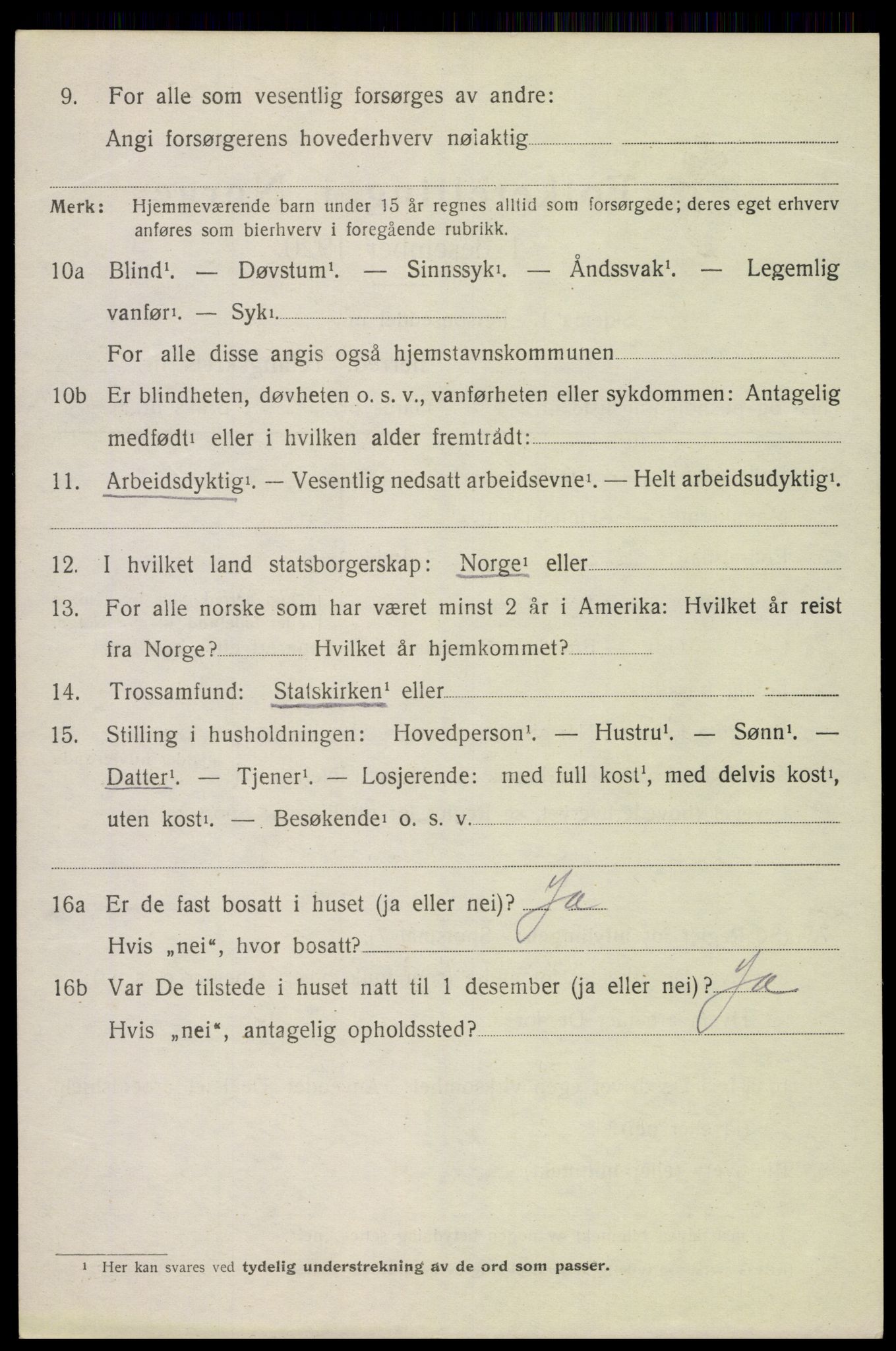 SAH, 1920 census for Furnes, 1920, p. 9620