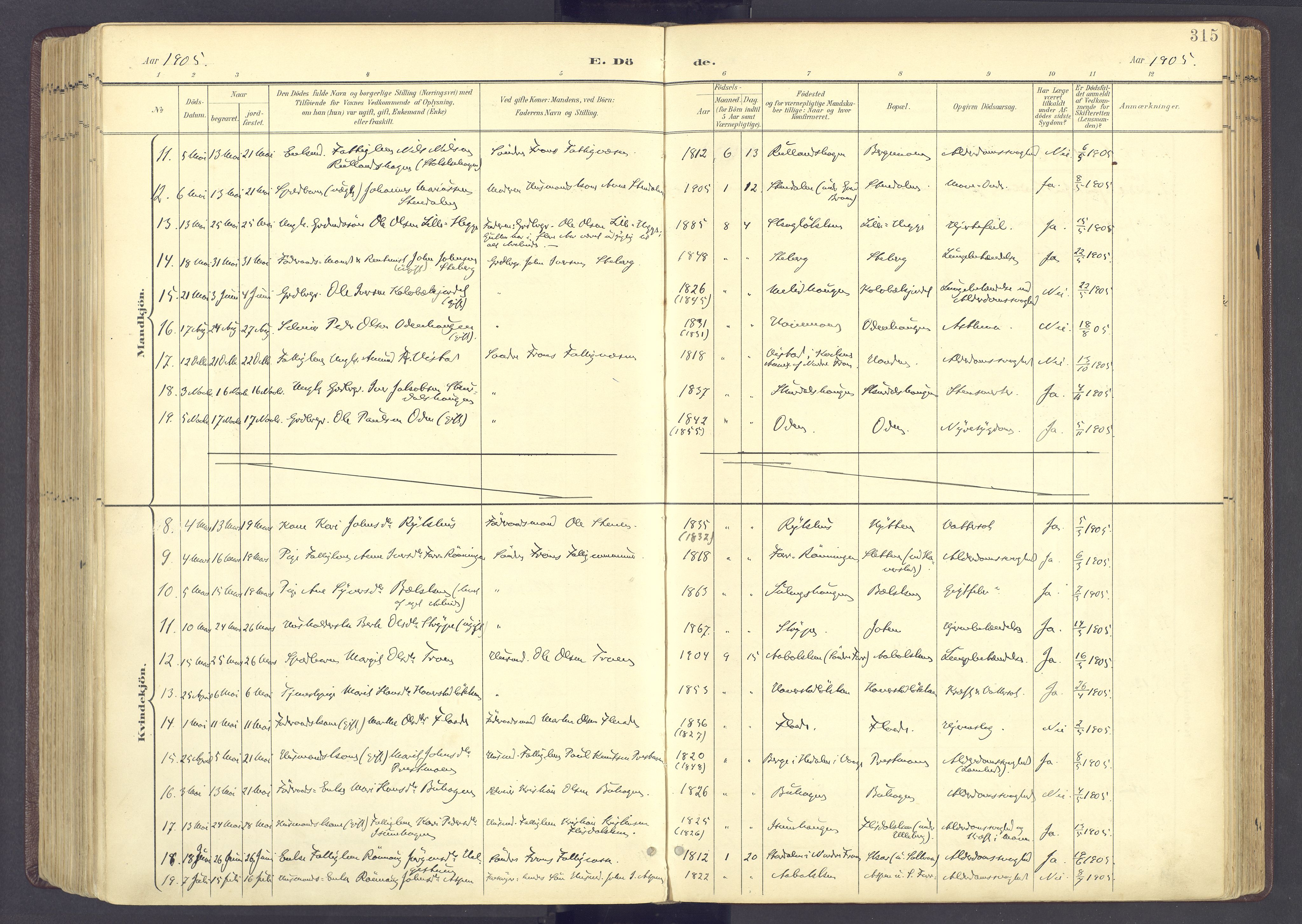 Sør-Fron prestekontor, AV/SAH-PREST-010/H/Ha/Haa/L0004: Parish register (official) no. 4, 1898-1919, p. 315