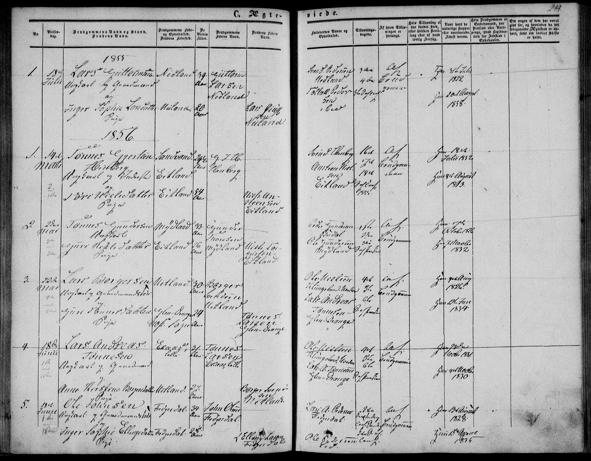 Bakke sokneprestkontor, SAK/1111-0002/F/Fa/Fab/L0002: Parish register (official) no. A 2, 1855-1884, p. 244