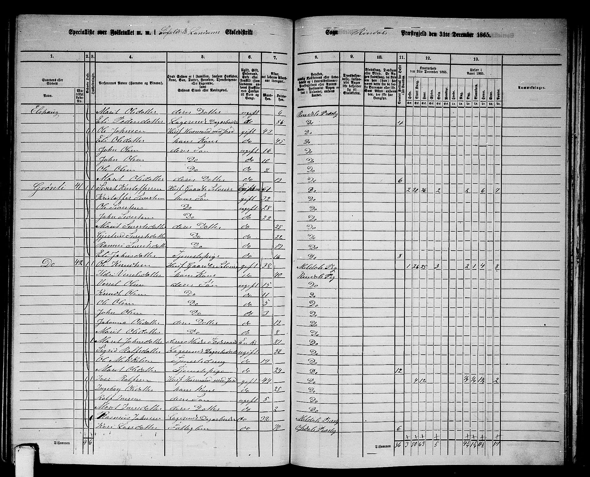 RA, 1865 census for Rindal, 1865, p. 46