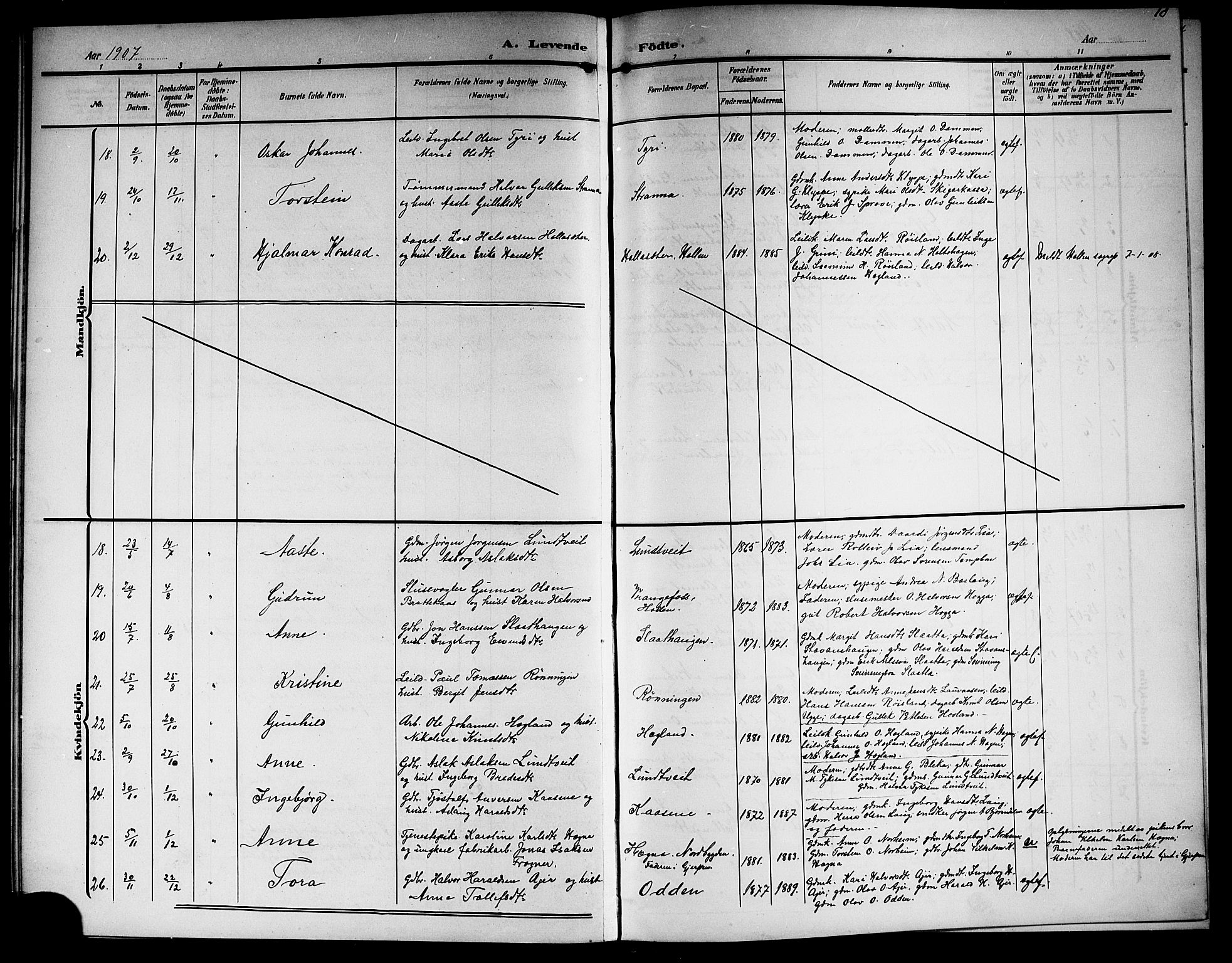 Lunde kirkebøker, SAKO/A-282/G/Ga/L0004: Parish register (copy) no. I 4, 1906-1914, p. 10