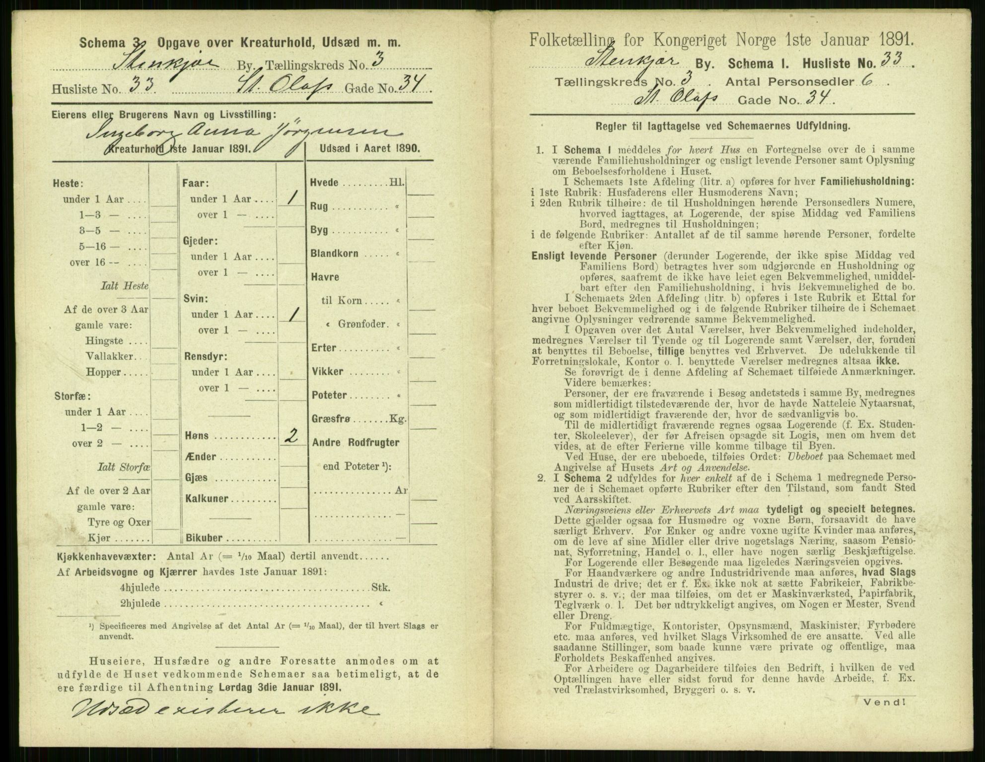 RA, 1891 census for 1702 Steinkjer, 1891, p. 825