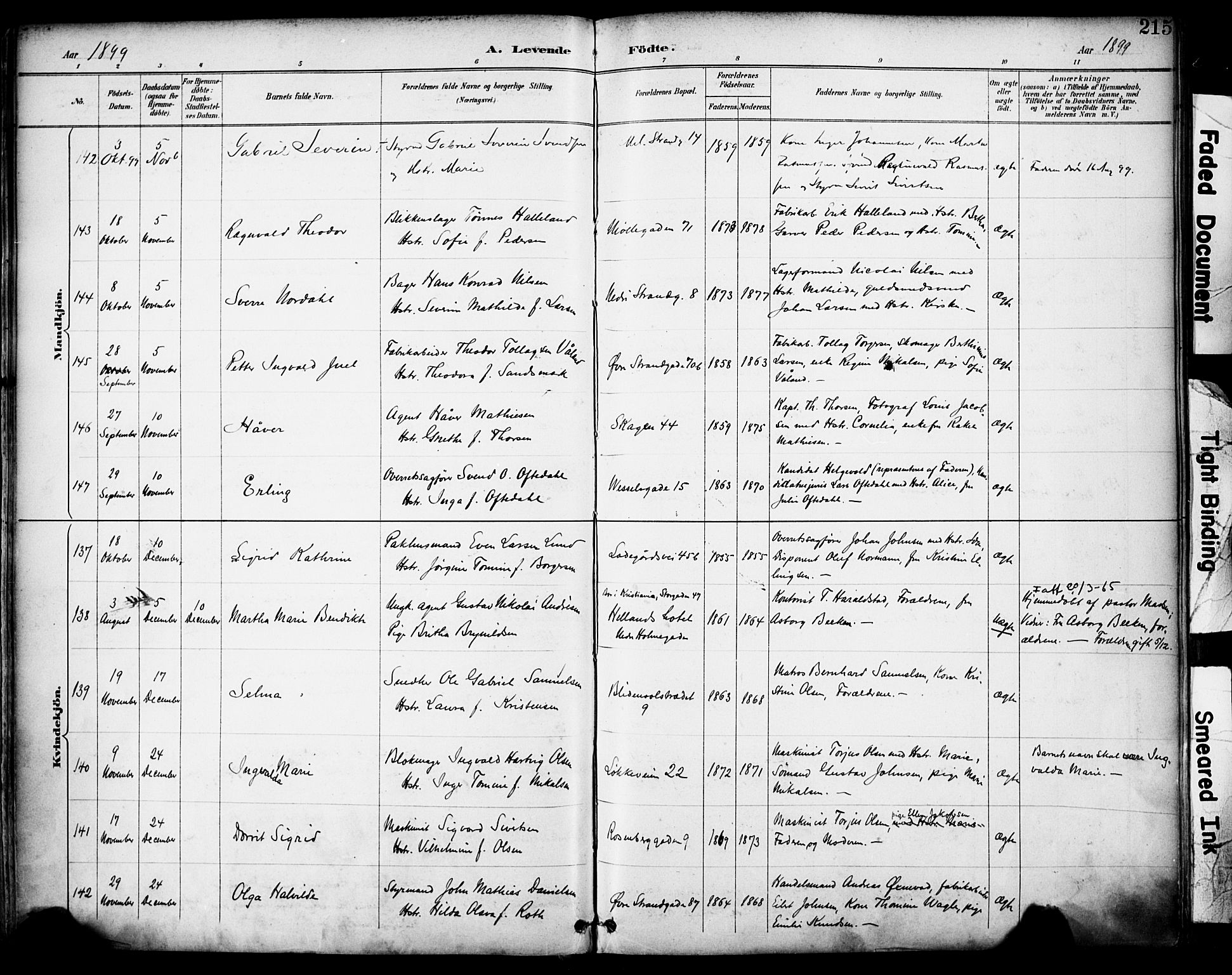 Domkirken sokneprestkontor, SAST/A-101812/001/30/30BA/L0030: Parish register (official) no. A 29, 1889-1902, p. 215