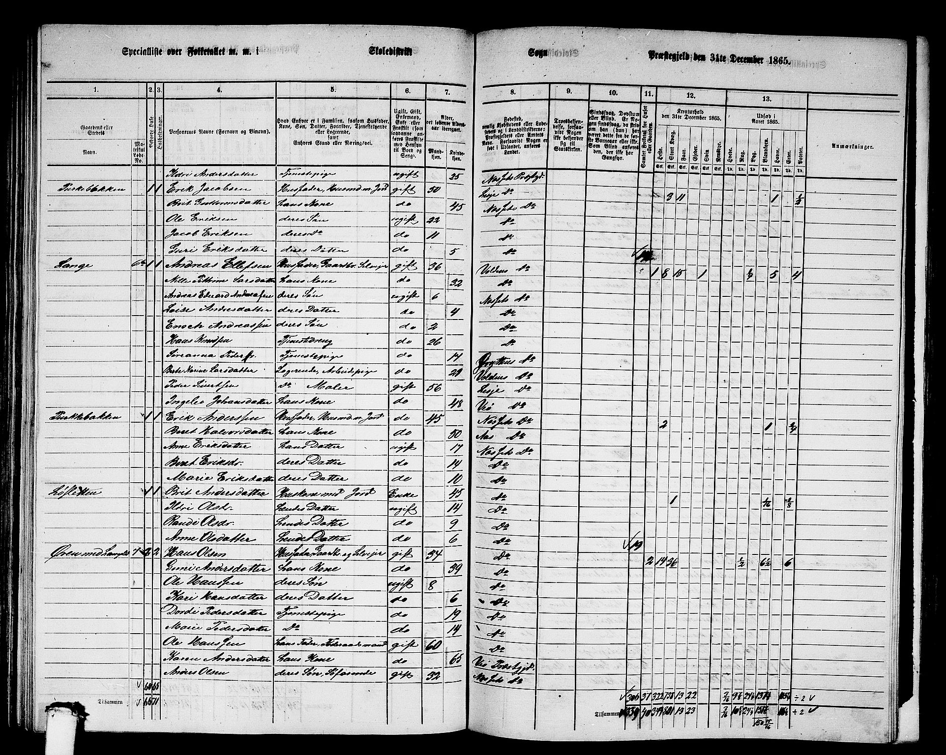 RA, 1865 census for Nesset, 1865, p. 144