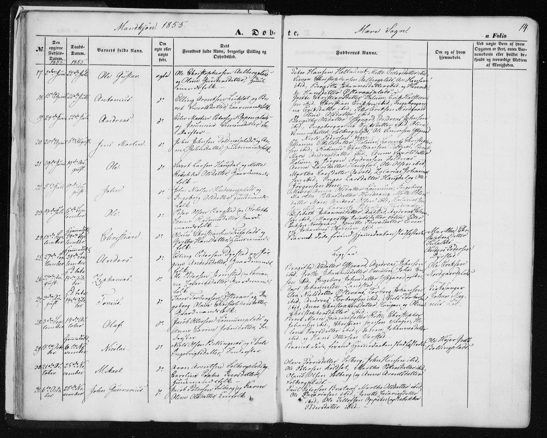 Ministerialprotokoller, klokkerbøker og fødselsregistre - Nord-Trøndelag, SAT/A-1458/735/L0342: Parish register (official) no. 735A07 /1, 1849-1862, p. 14