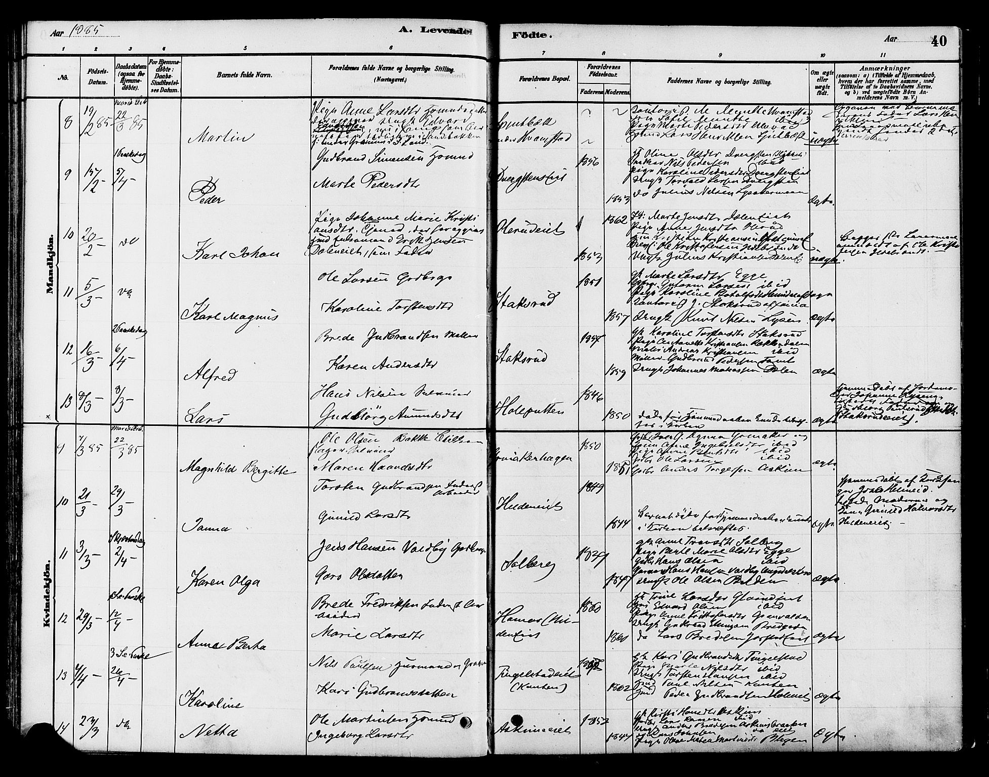 Gran prestekontor, SAH/PREST-112/H/Ha/Haa/L0016: Parish register (official) no. 16, 1880-1888, p. 40