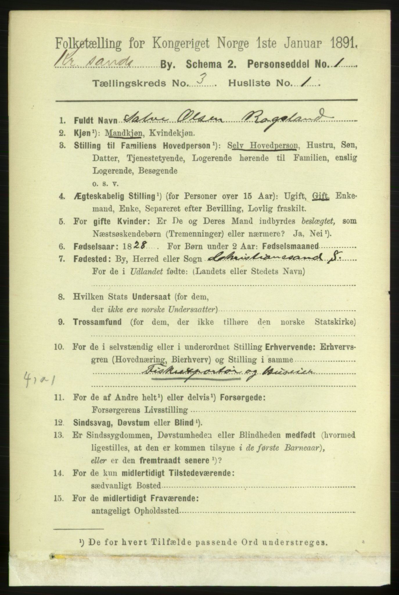 RA, 1891 census for 1001 Kristiansand, 1891, p. 3363