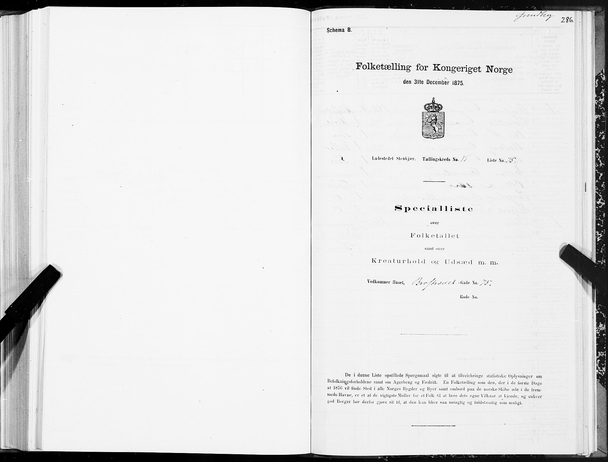 SAT, 1875 census for 1702B Steinkjer/Steinkjer, 1875, p. 286