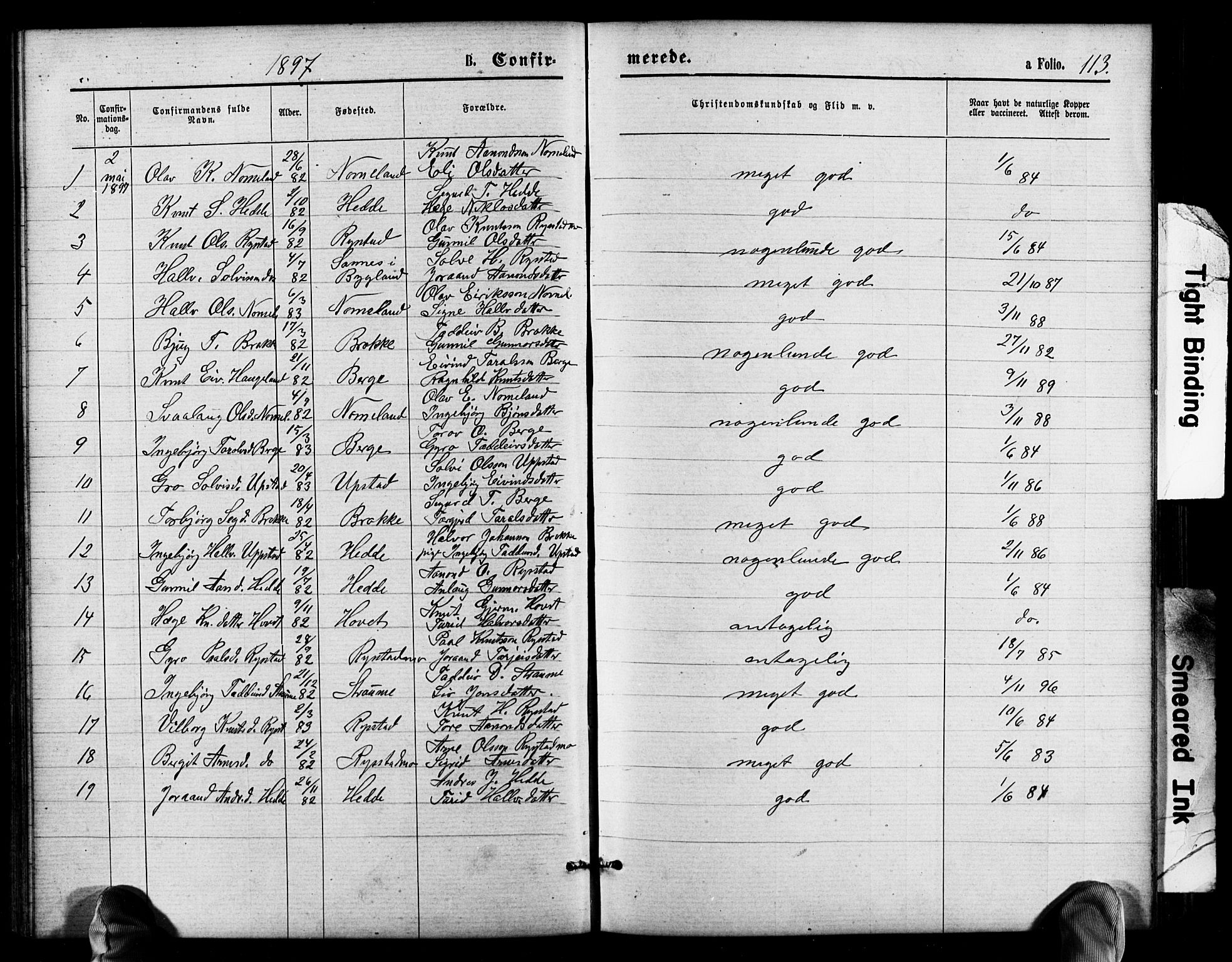 Valle sokneprestkontor, SAK/1111-0044/F/Fb/Fbb/L0002: Parish register (copy) no. B 2, 1875-1921, p. 113