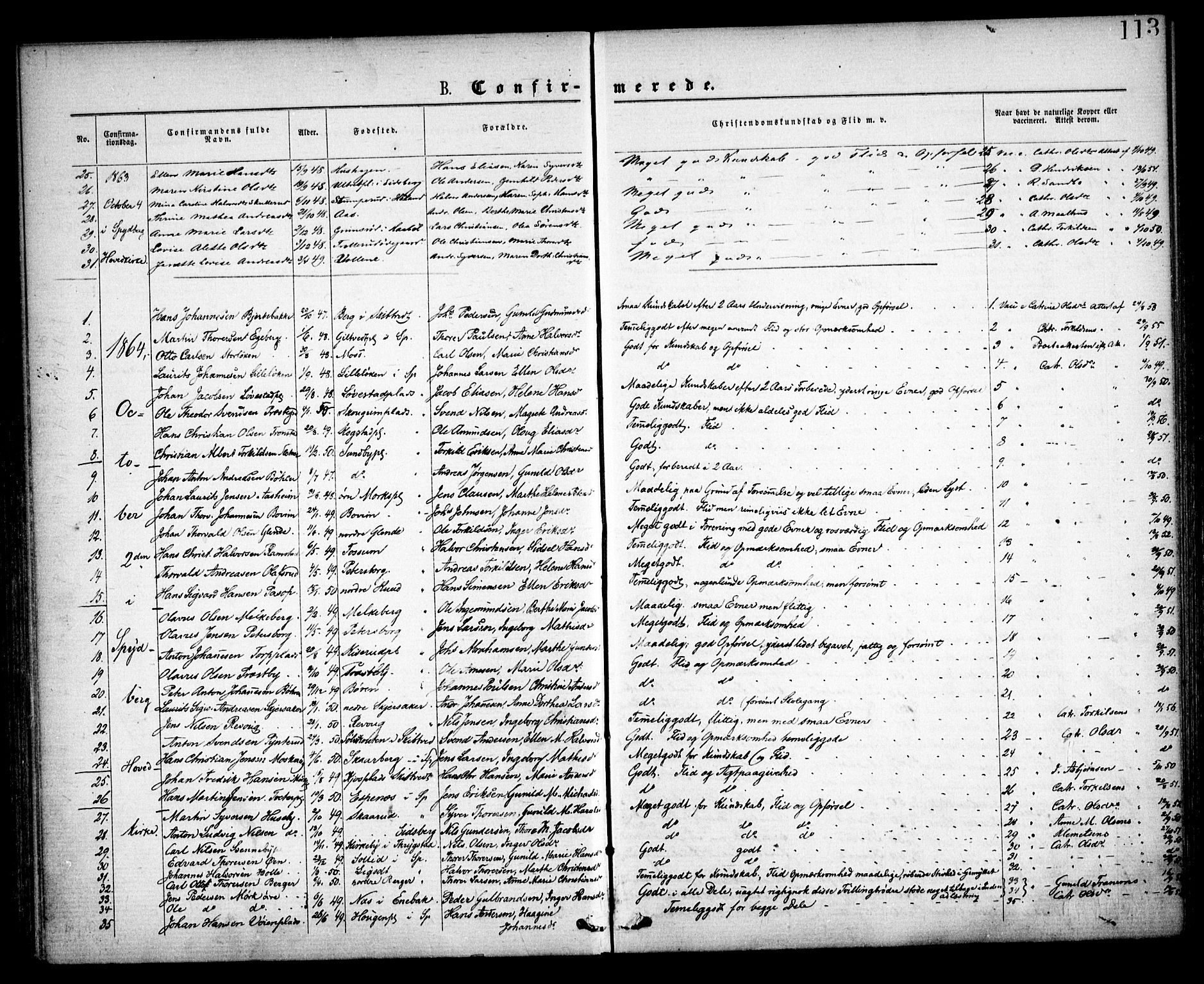 Spydeberg prestekontor Kirkebøker, SAO/A-10924/F/Fa/L0006: Parish register (official) no. I 6, 1863-1874, p. 113