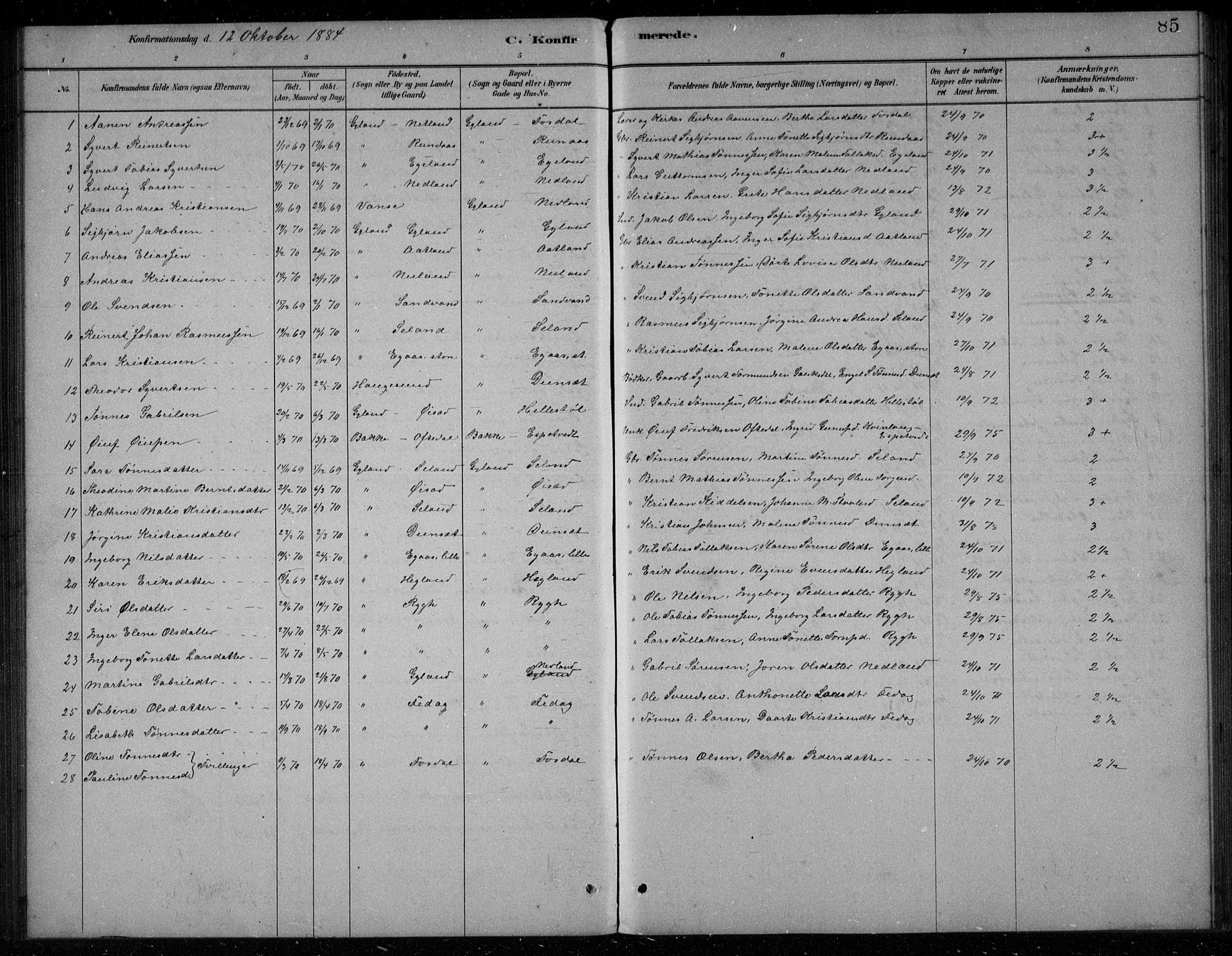 Bakke sokneprestkontor, SAK/1111-0002/F/Fb/Fbb/L0003: Parish register (copy) no. B 3, 1878-1896, p. 85