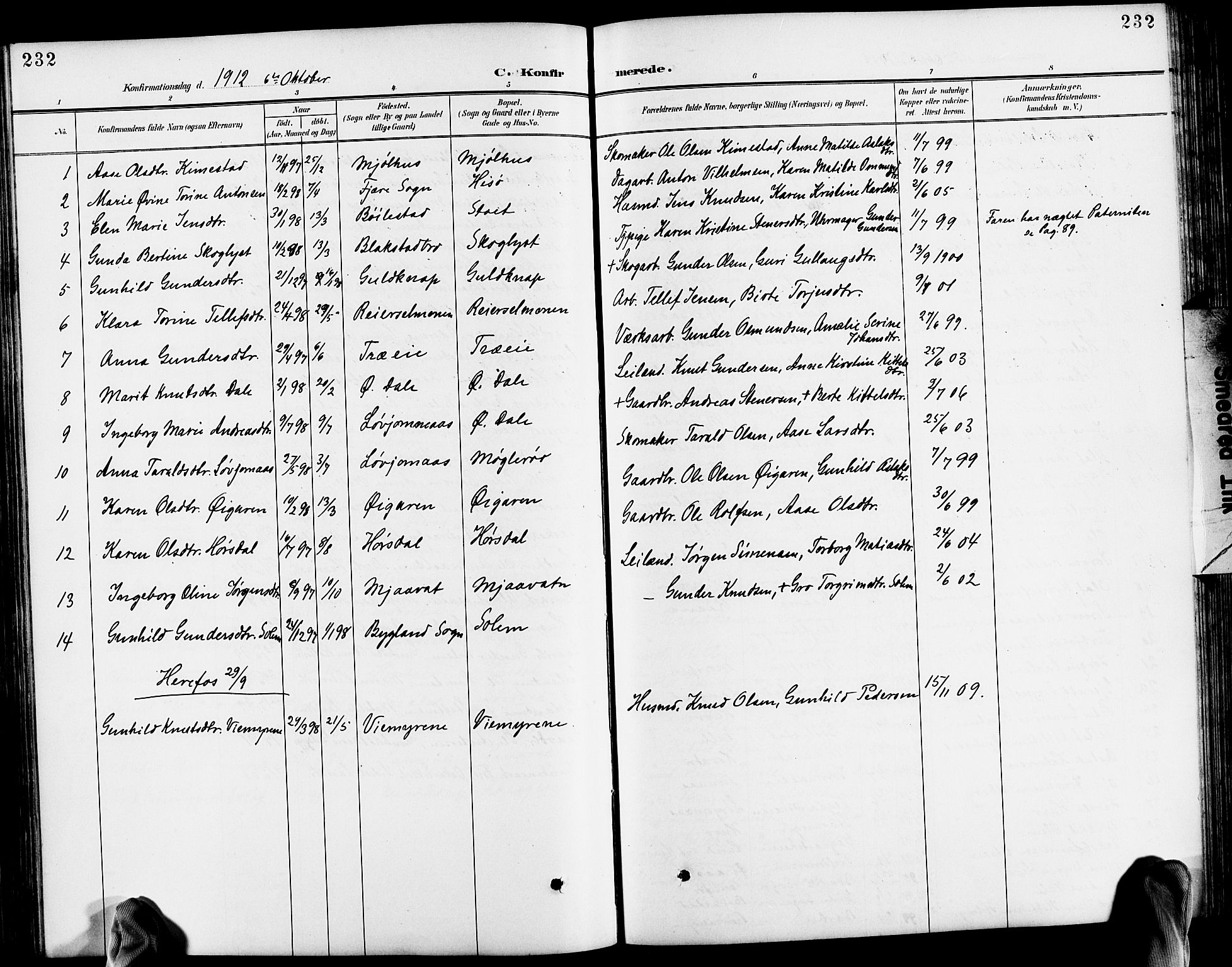 Froland sokneprestkontor, AV/SAK-1111-0013/F/Fb/L0010: Parish register (copy) no. B 10, 1893-1920, p. 232