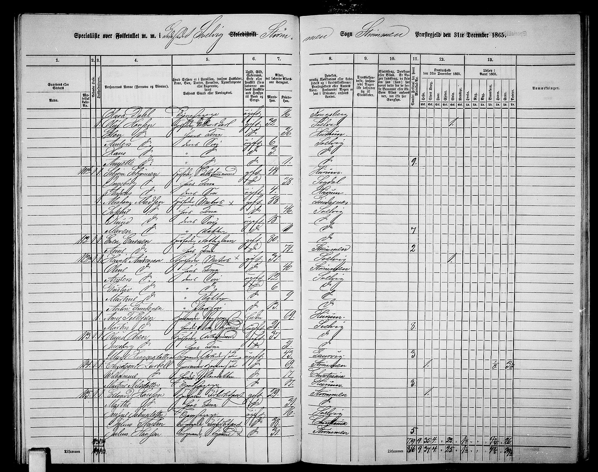 RA, 1865 census for Strømm, 1865, p. 89