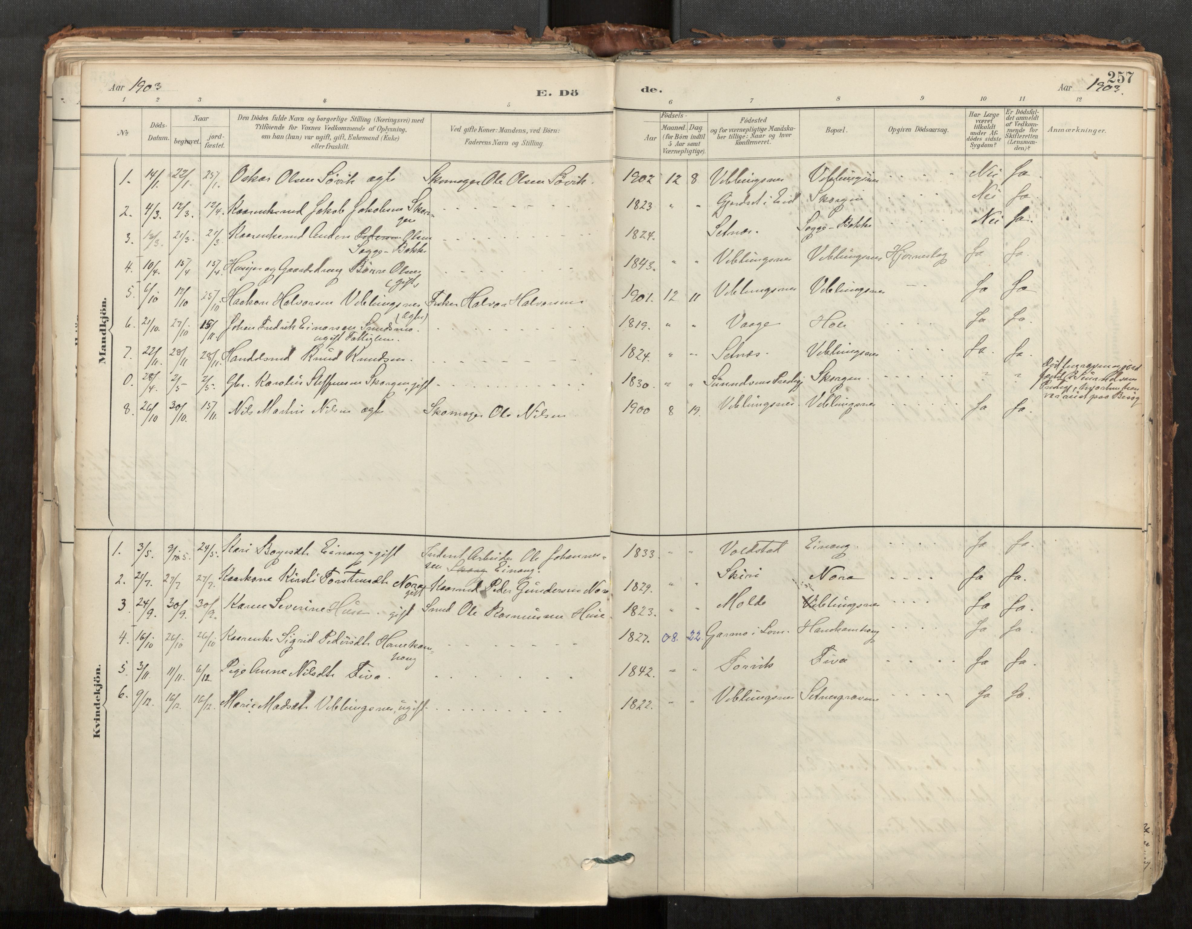 Ministerialprotokoller, klokkerbøker og fødselsregistre - Møre og Romsdal, AV/SAT-A-1454/544/L0585: Parish register (official) no. 544A06, 1887-1924, p. 257