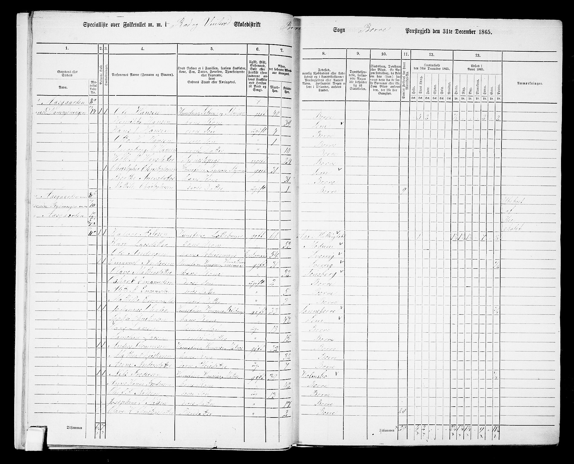 RA, 1865 census for Borre, 1865, p. 35