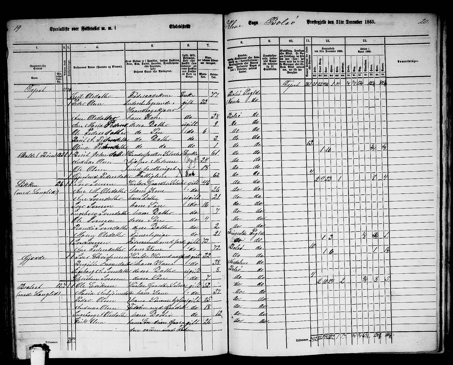 RA, 1865 census for Bolsøy, 1865, p. 107