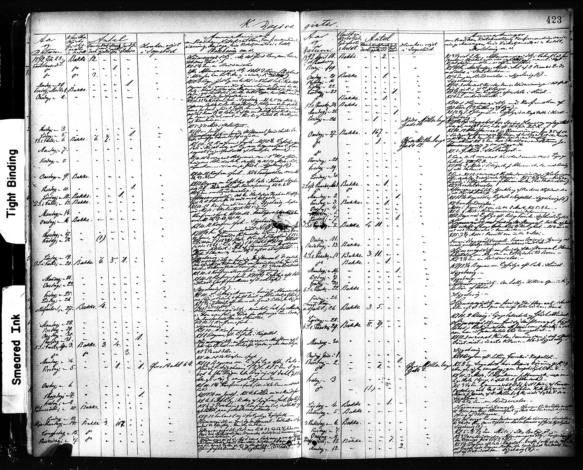 Ministerialprotokoller, klokkerbøker og fødselsregistre - Sør-Trøndelag, SAT/A-1456/604/L0189: Parish register (official) no. 604A10, 1878-1892, p. 423